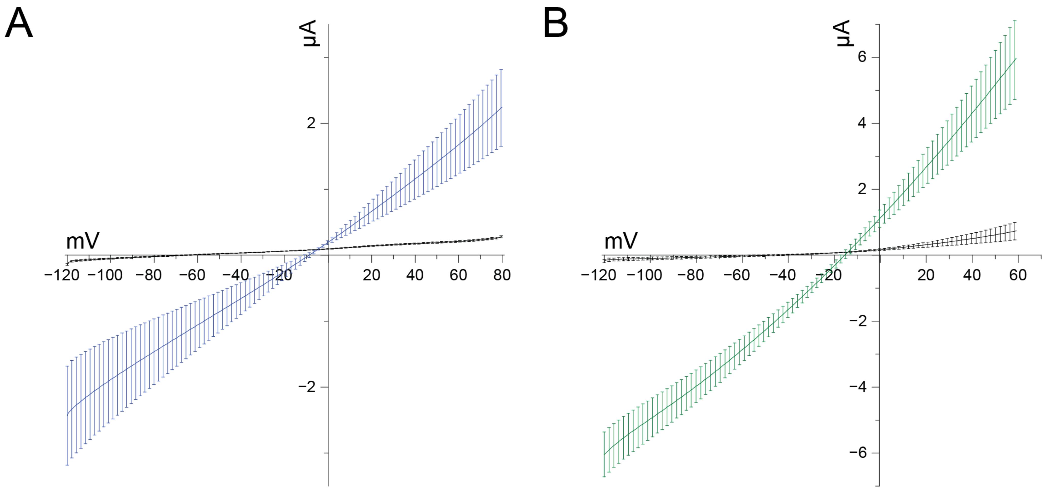 Membranes 14 00114 g004