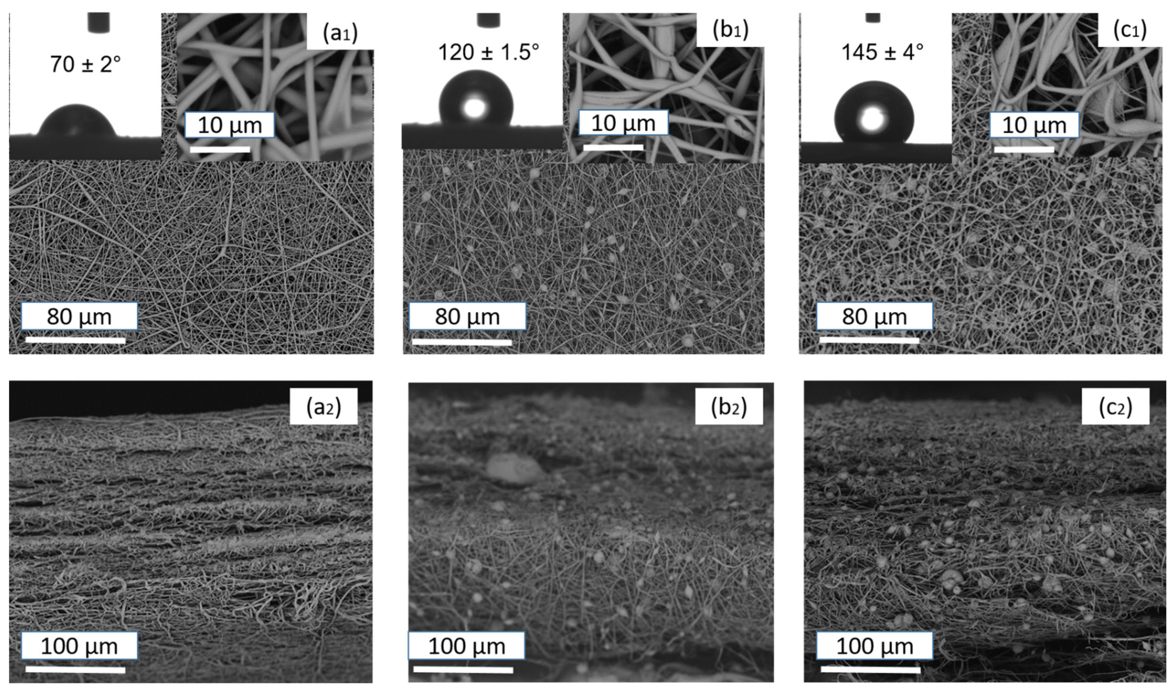 Membranes 14 00120 g003
