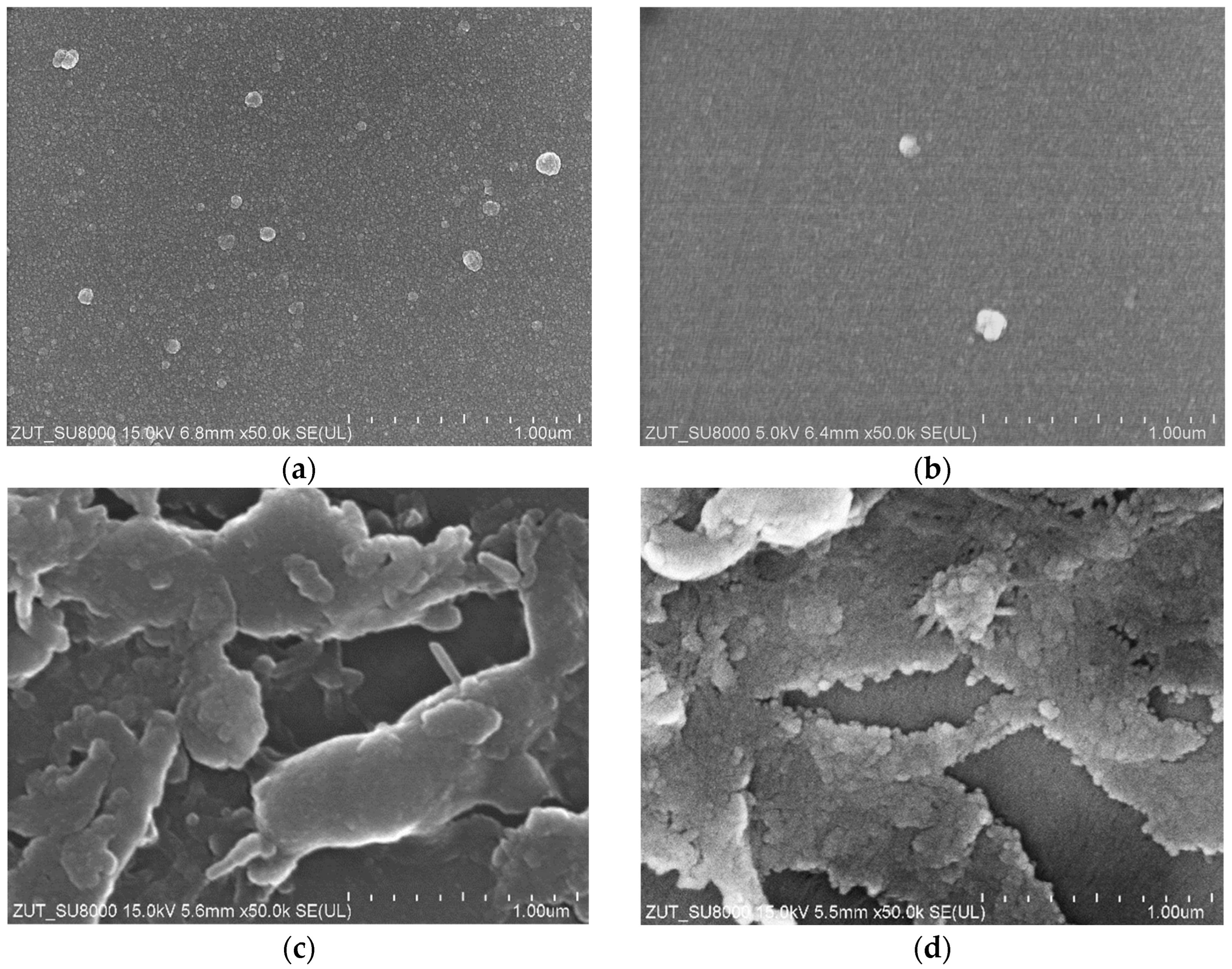 Membranes 14 00122 g007