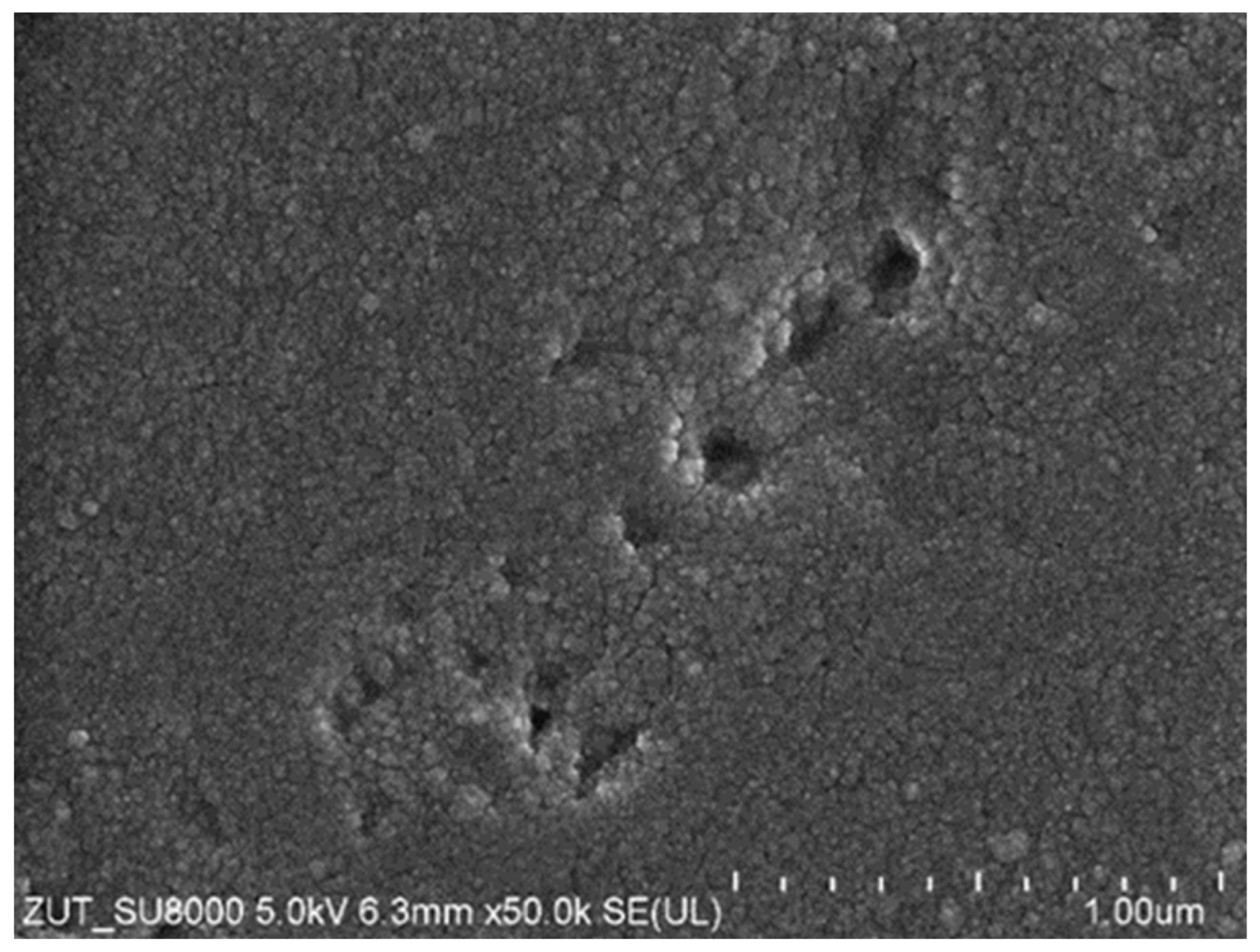 Membranes 14 00122 g016