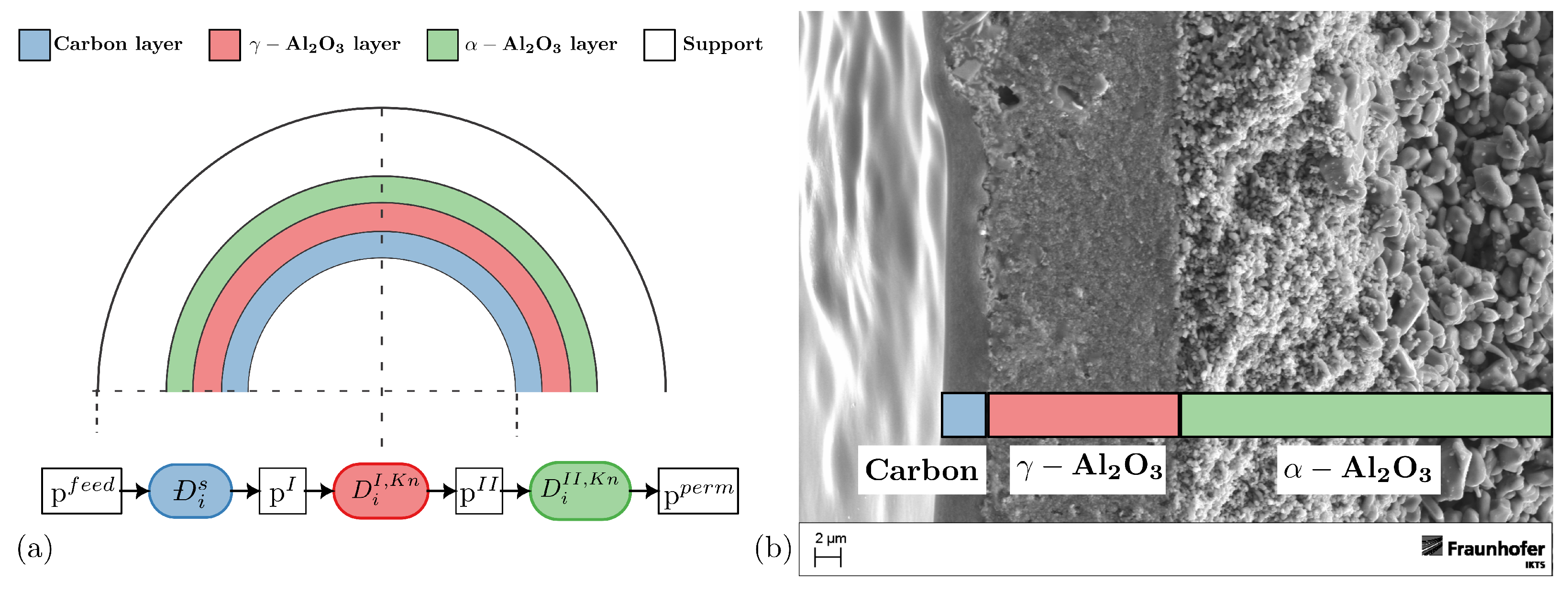Membranes 14 00123 g001