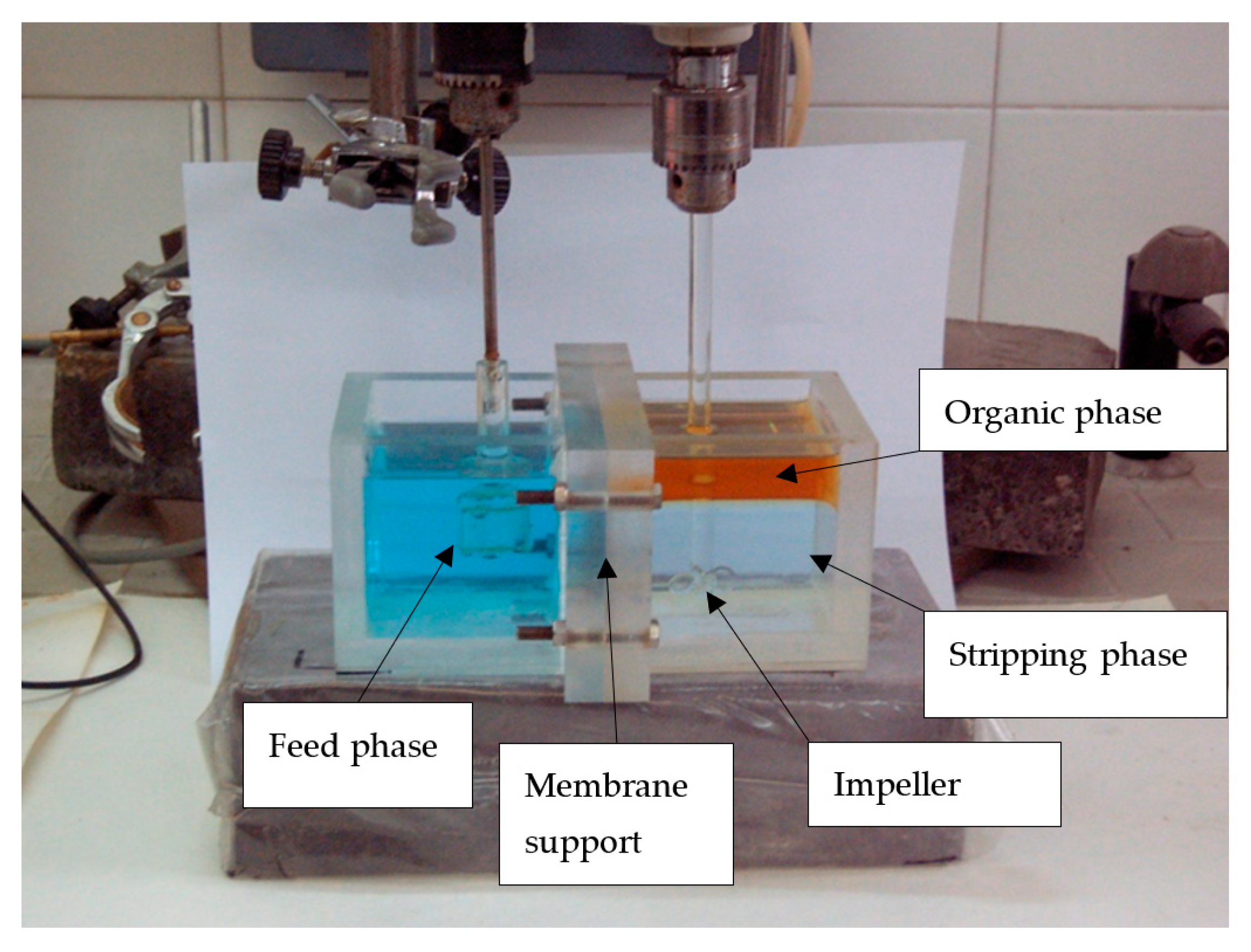 Membranes 14 00129 g001