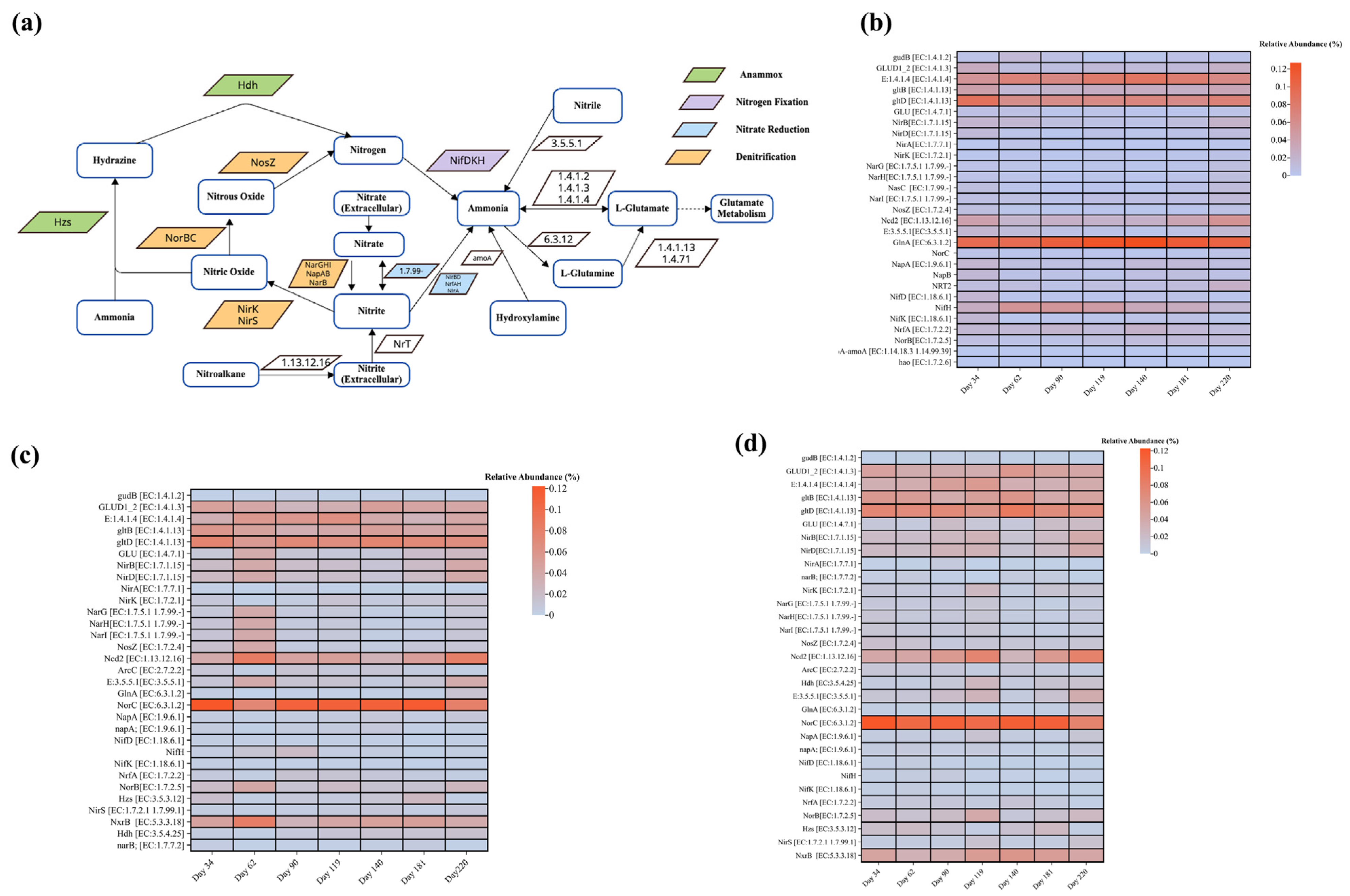 Membranes 14 00130 g006