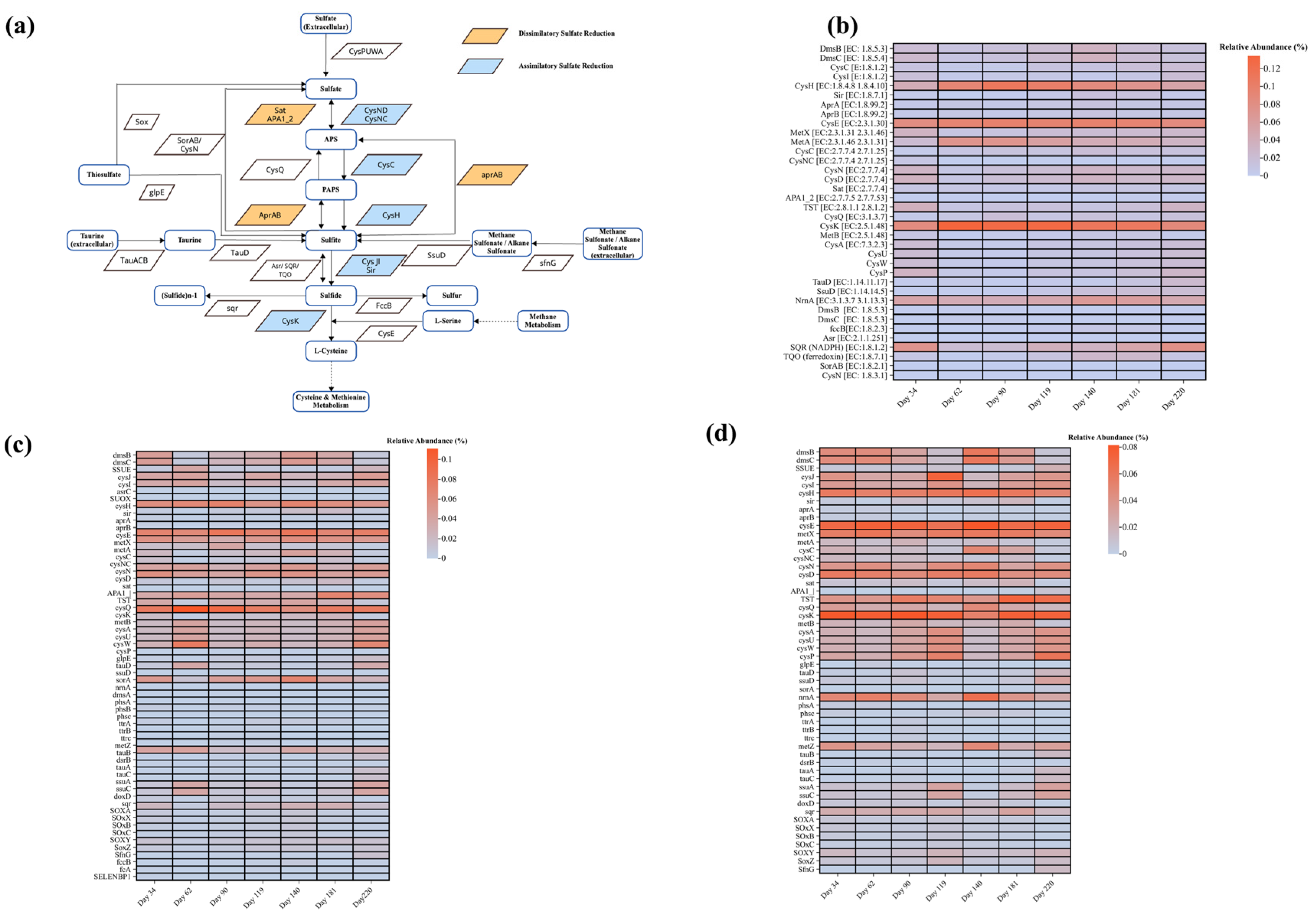 Membranes 14 00130 g007