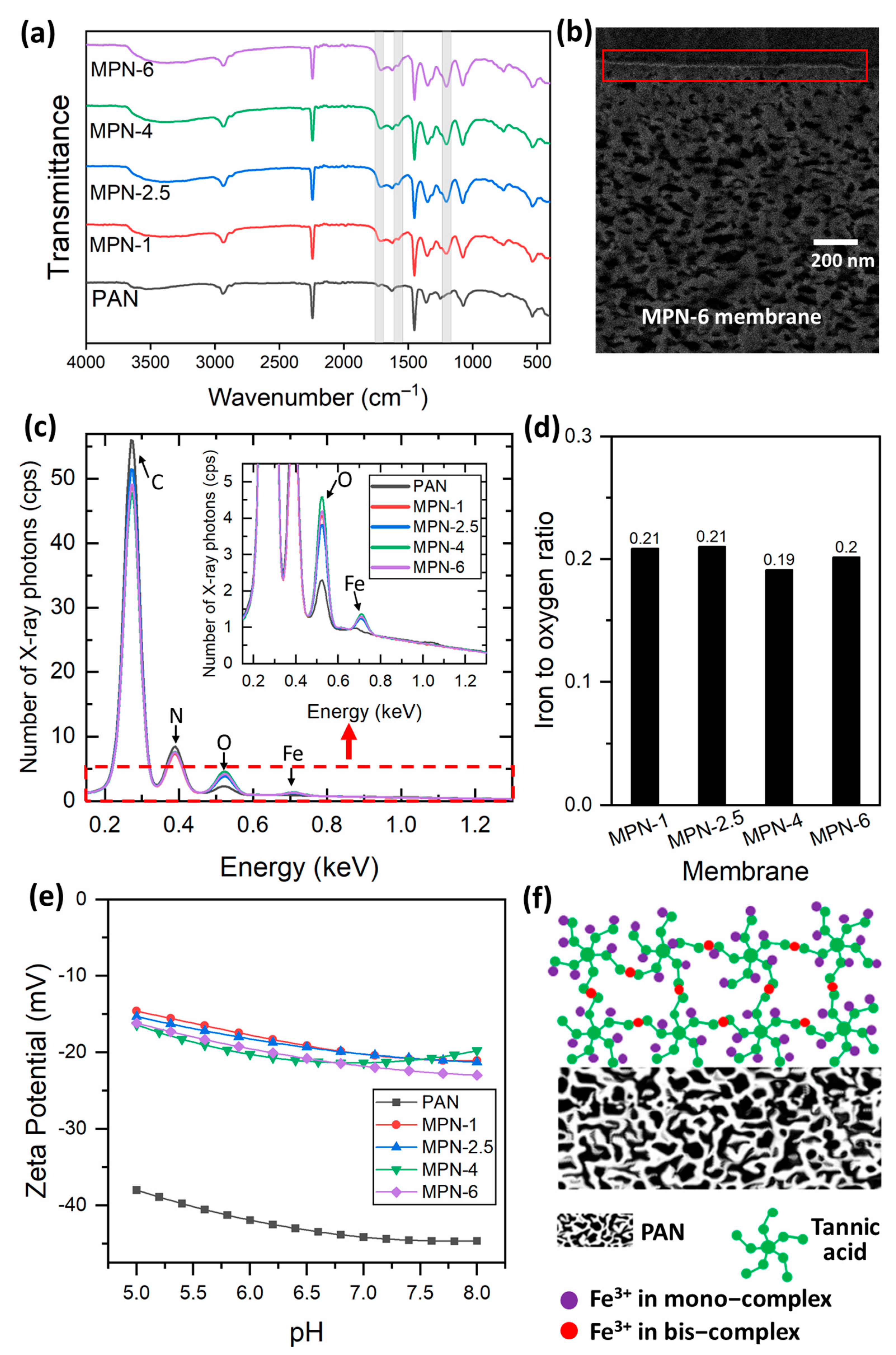 Membranes 14 00133 g002