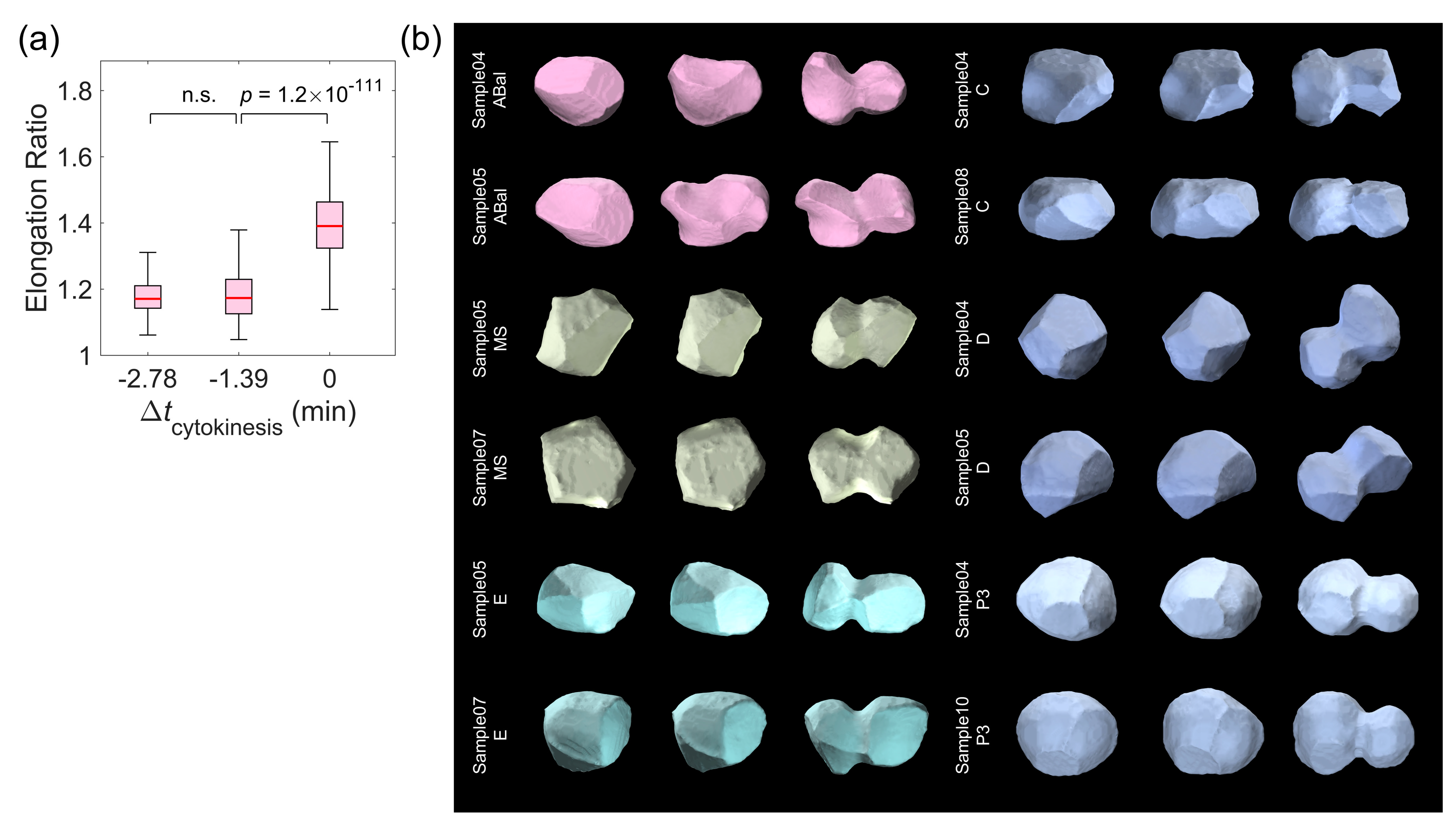Membranes 14 00137 g003