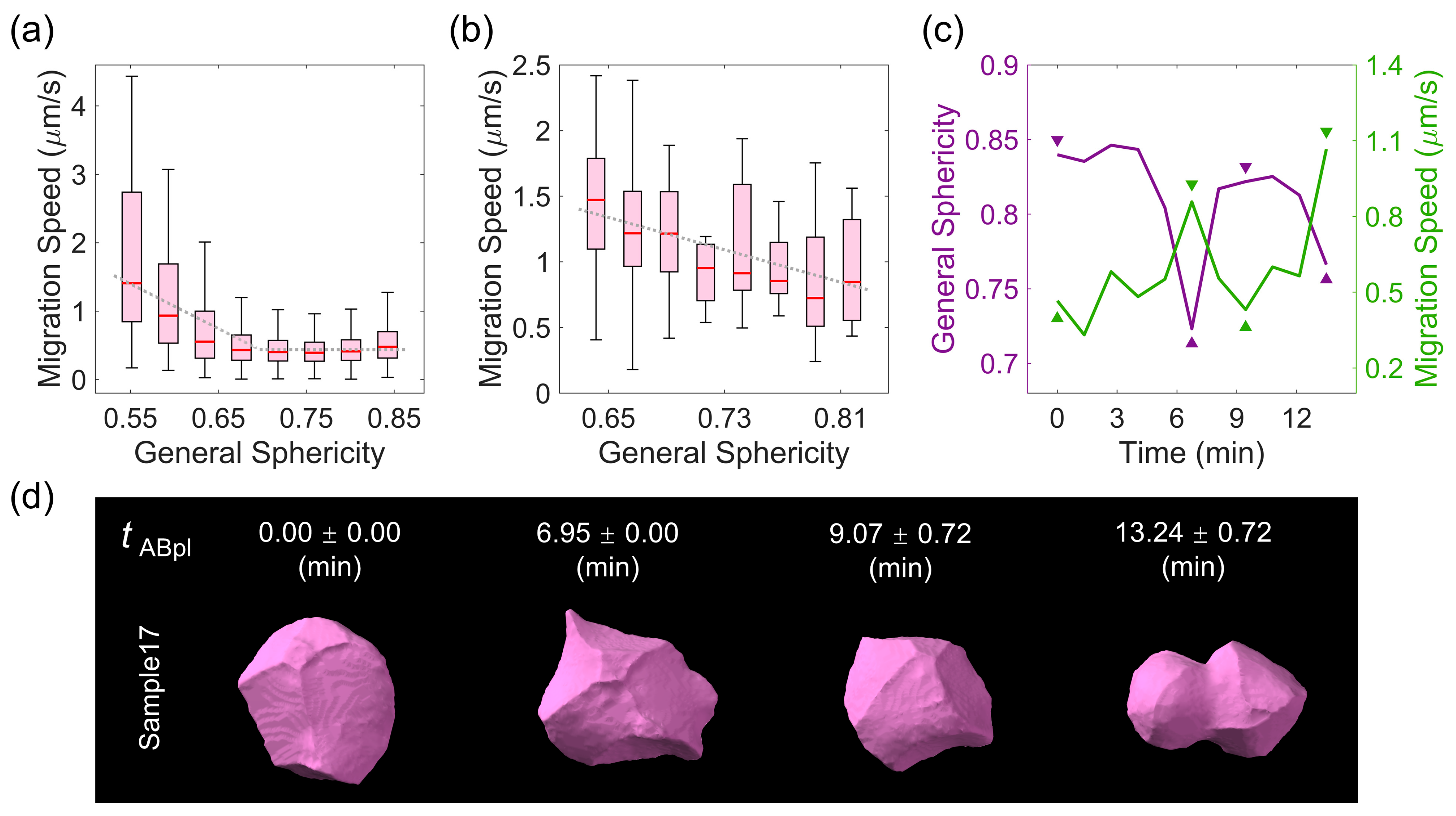 Membranes 14 00137 g004