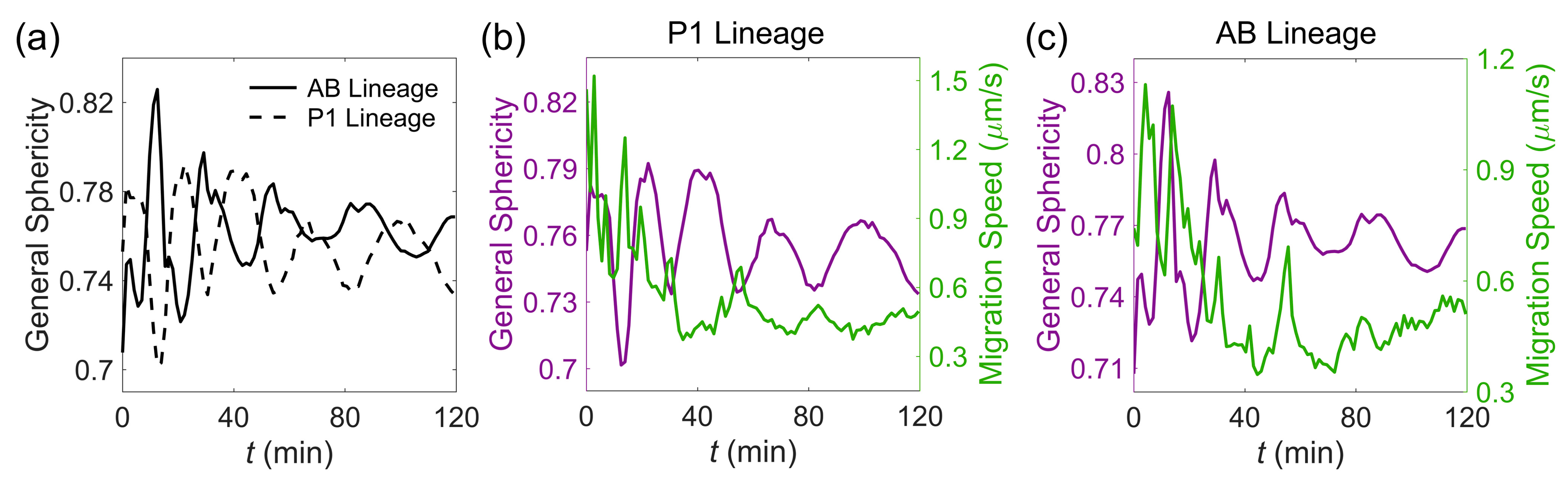 Membranes 14 00137 g005