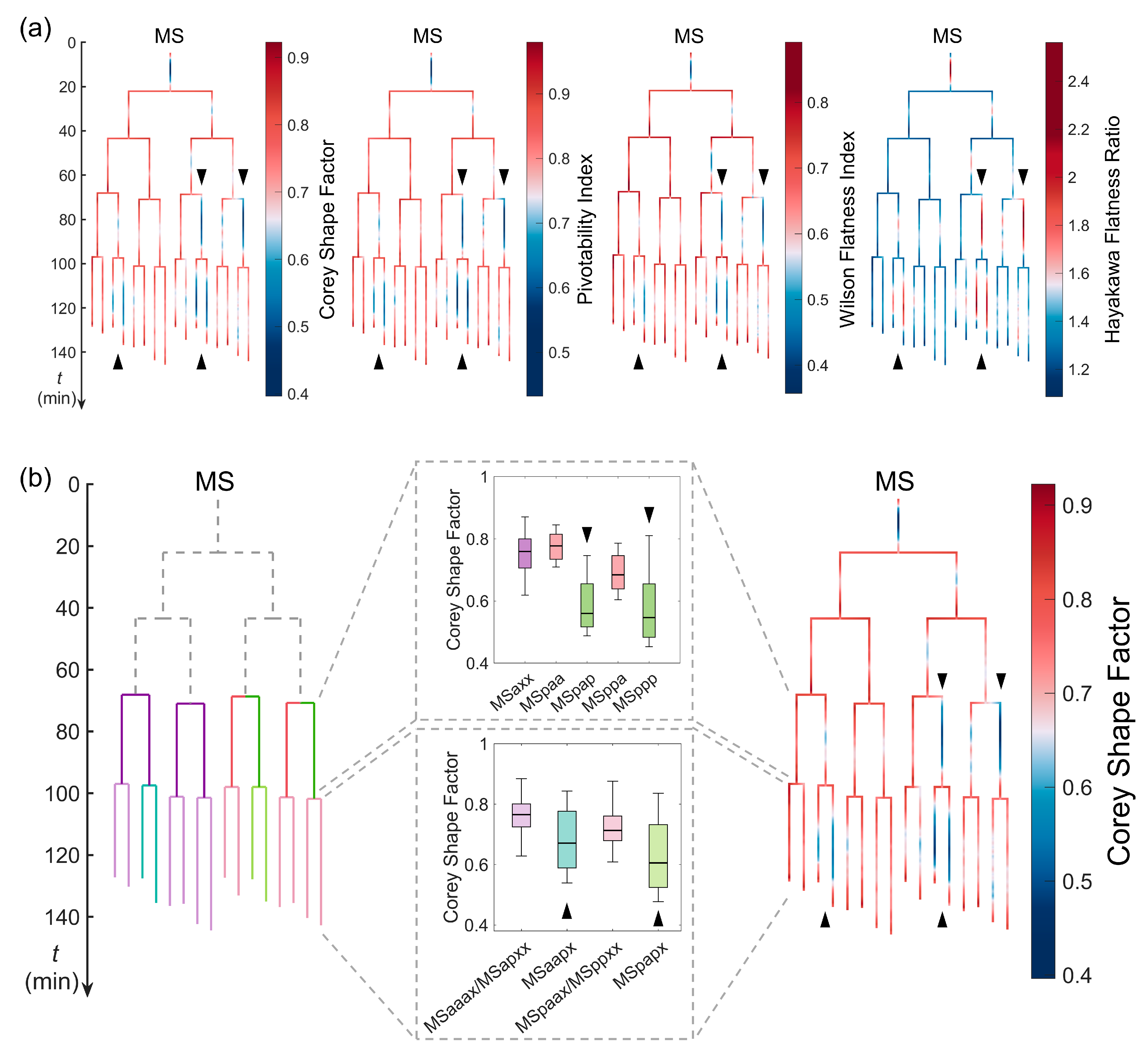 Membranes 14 00137 g006