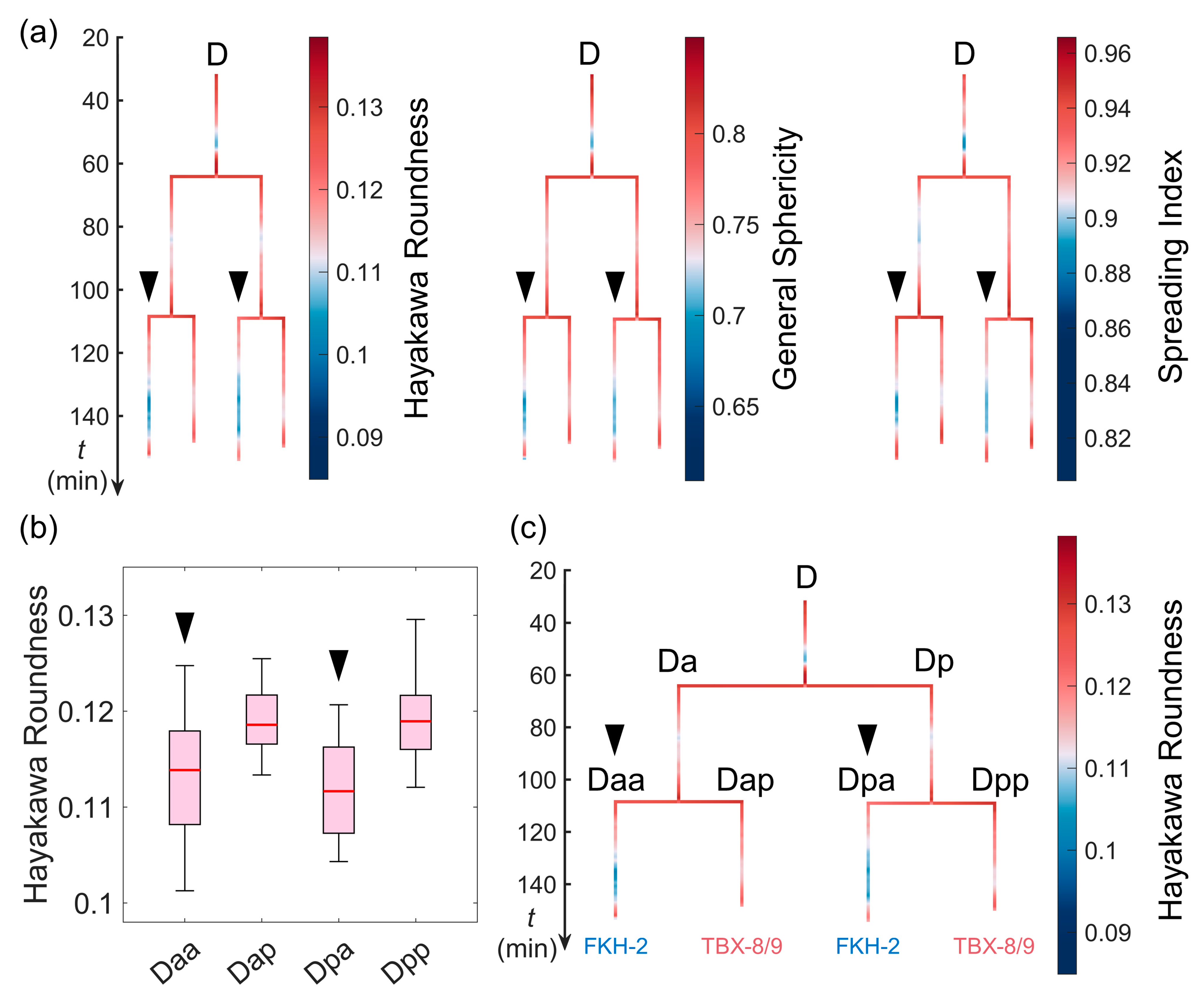 Membranes 14 00137 g007