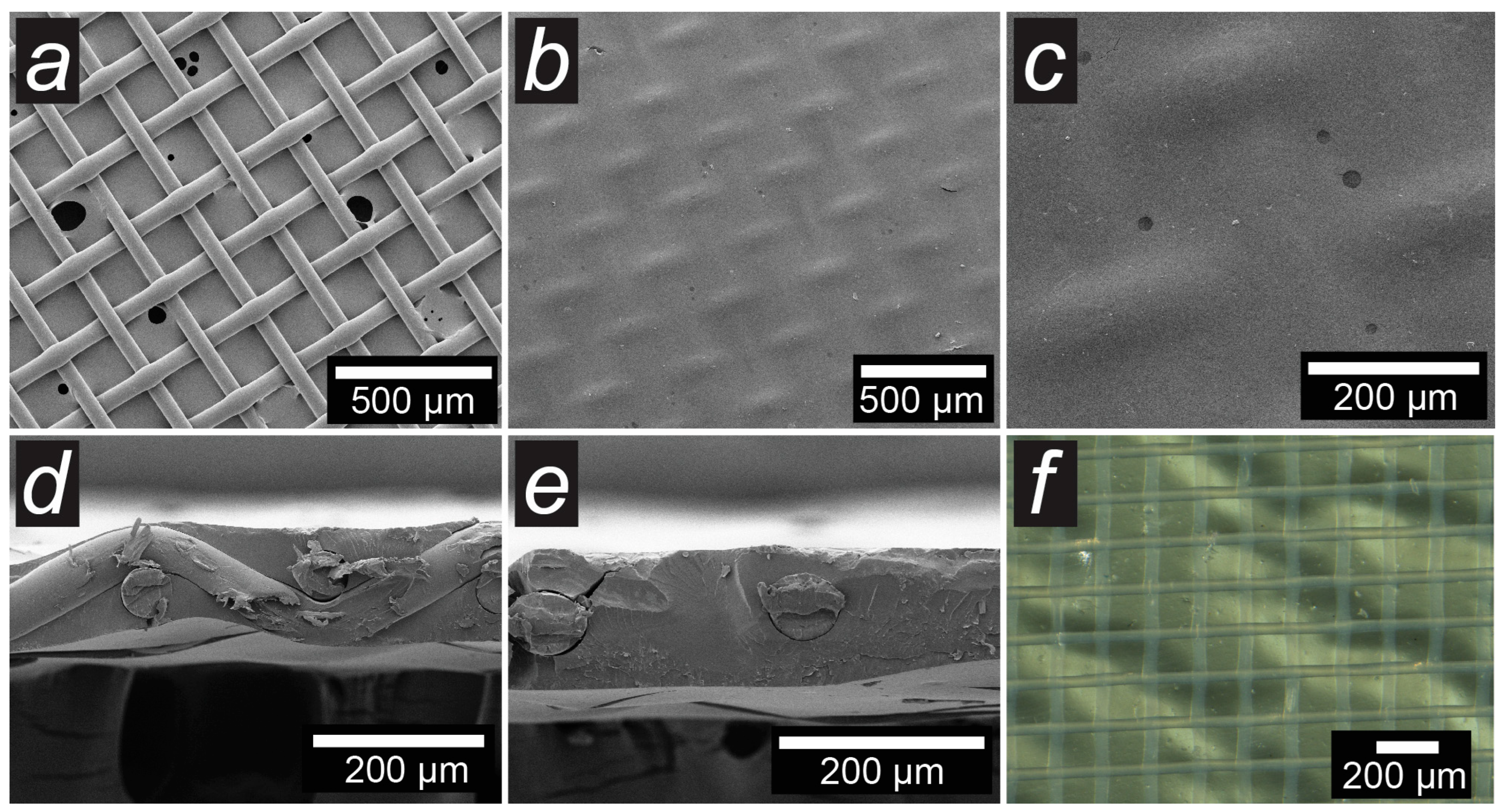 Membranes 14 00138 g007