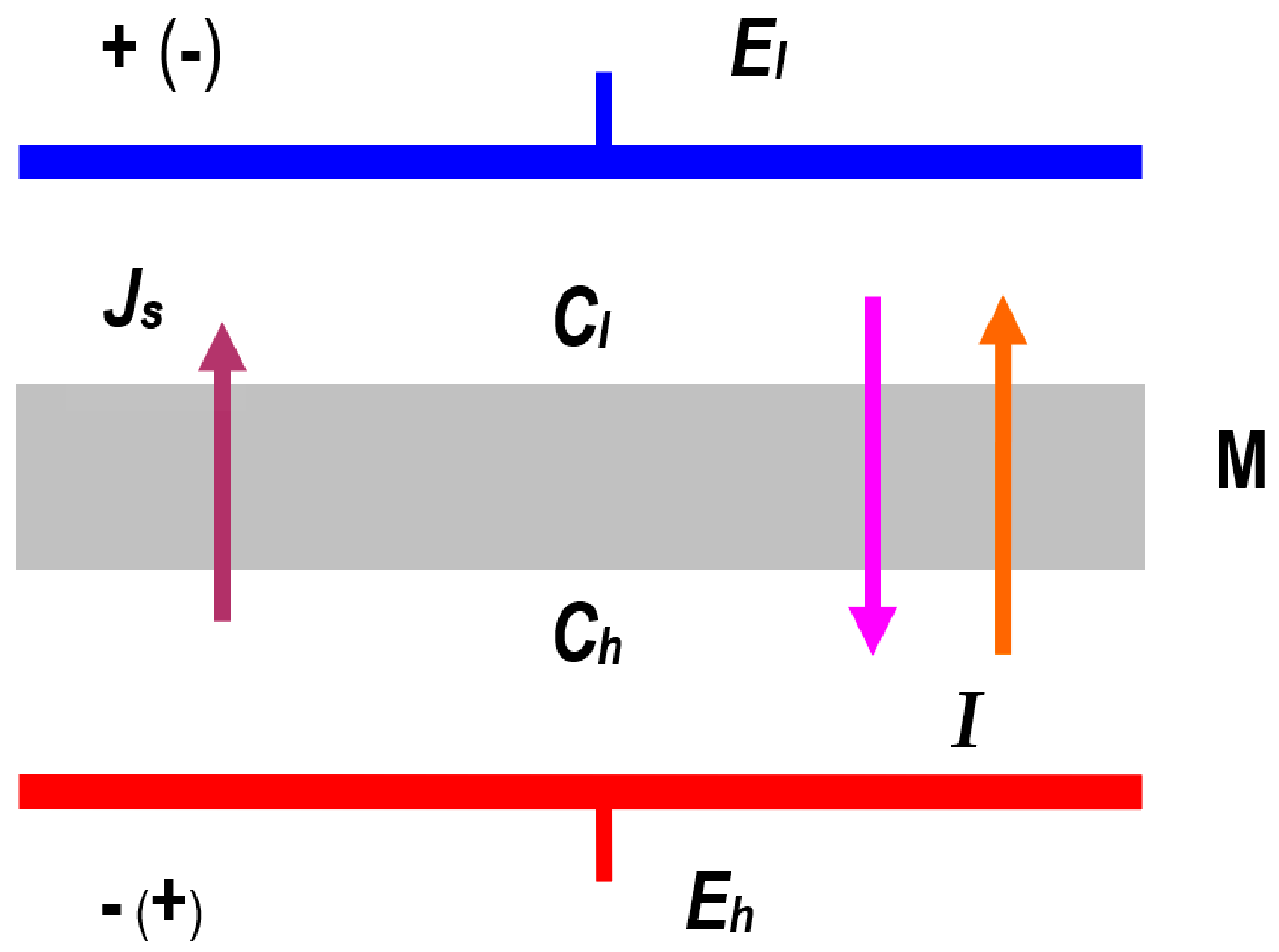 Membranes 14 00140 g002