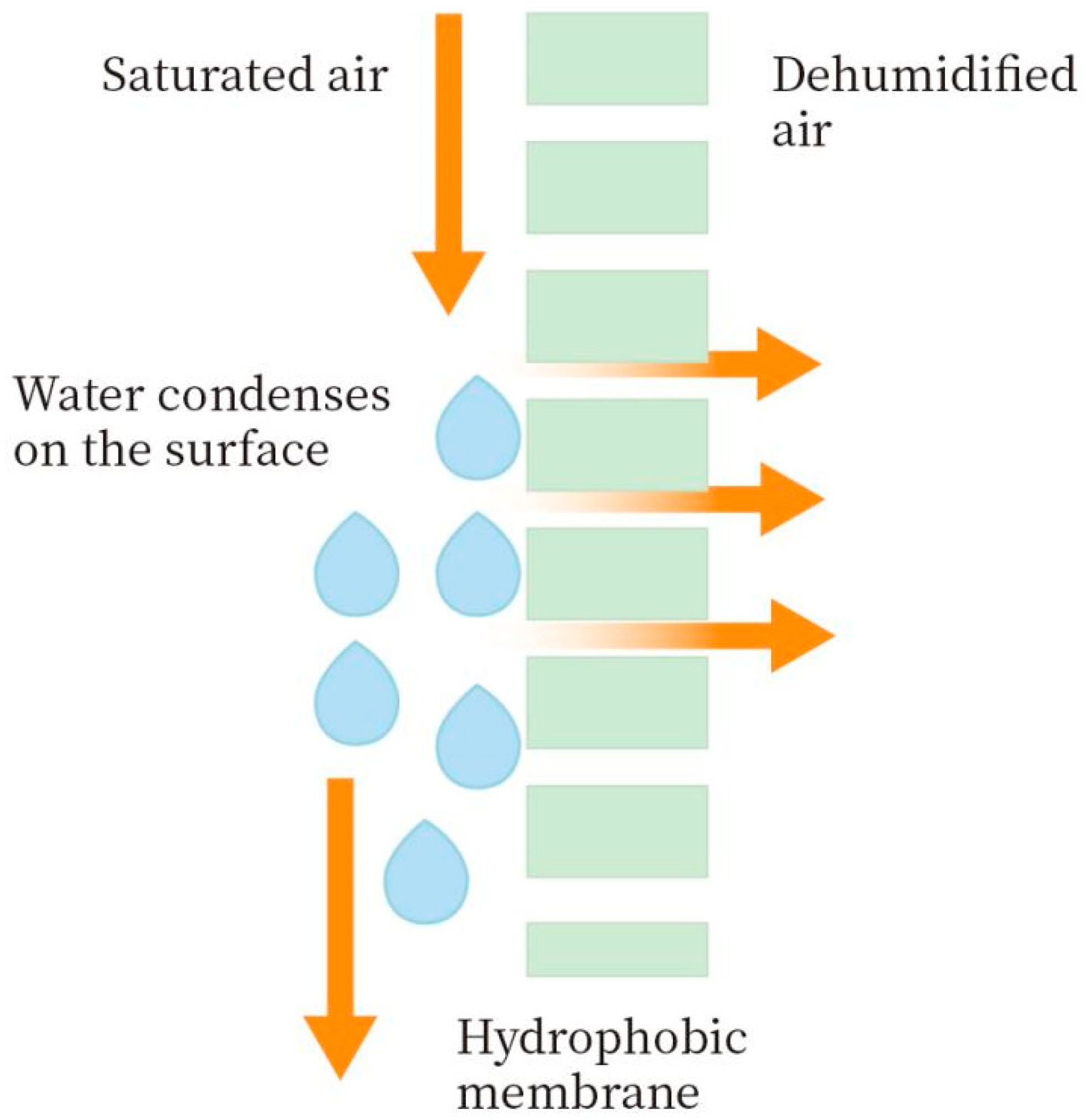 Membranes 14 00141 g001