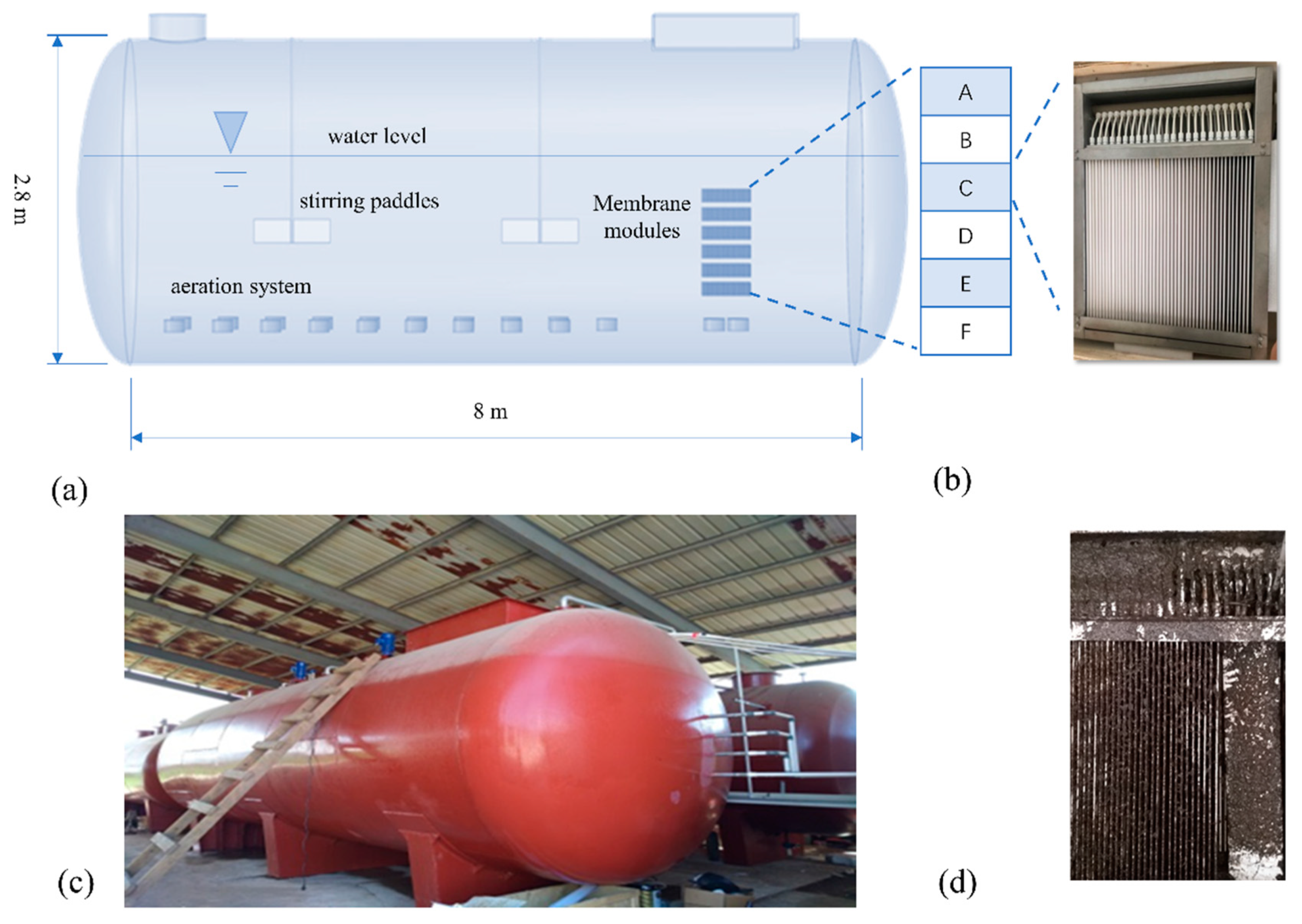 Membranes 14 00142 g001
