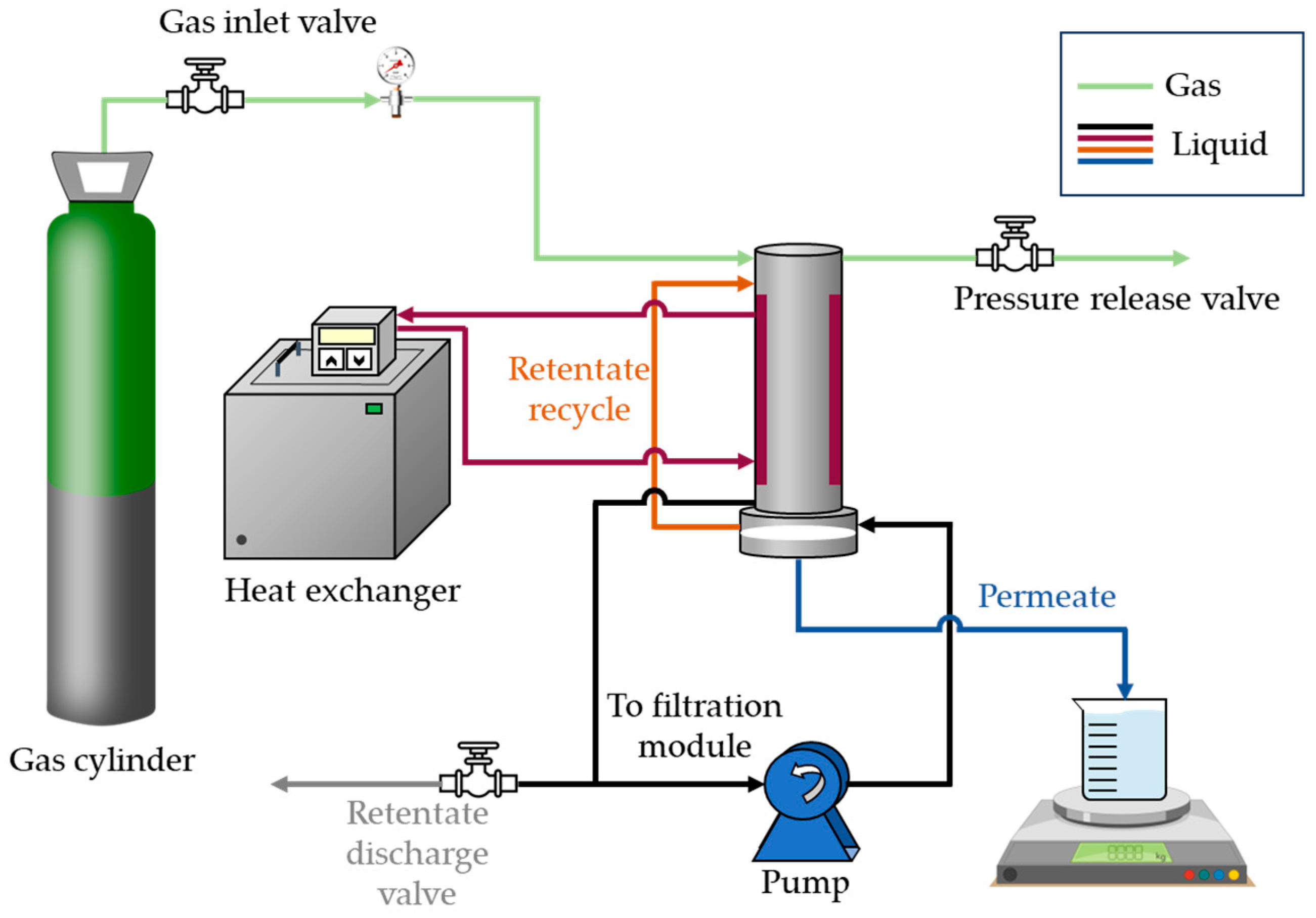 Membranes 14 00146 g001
