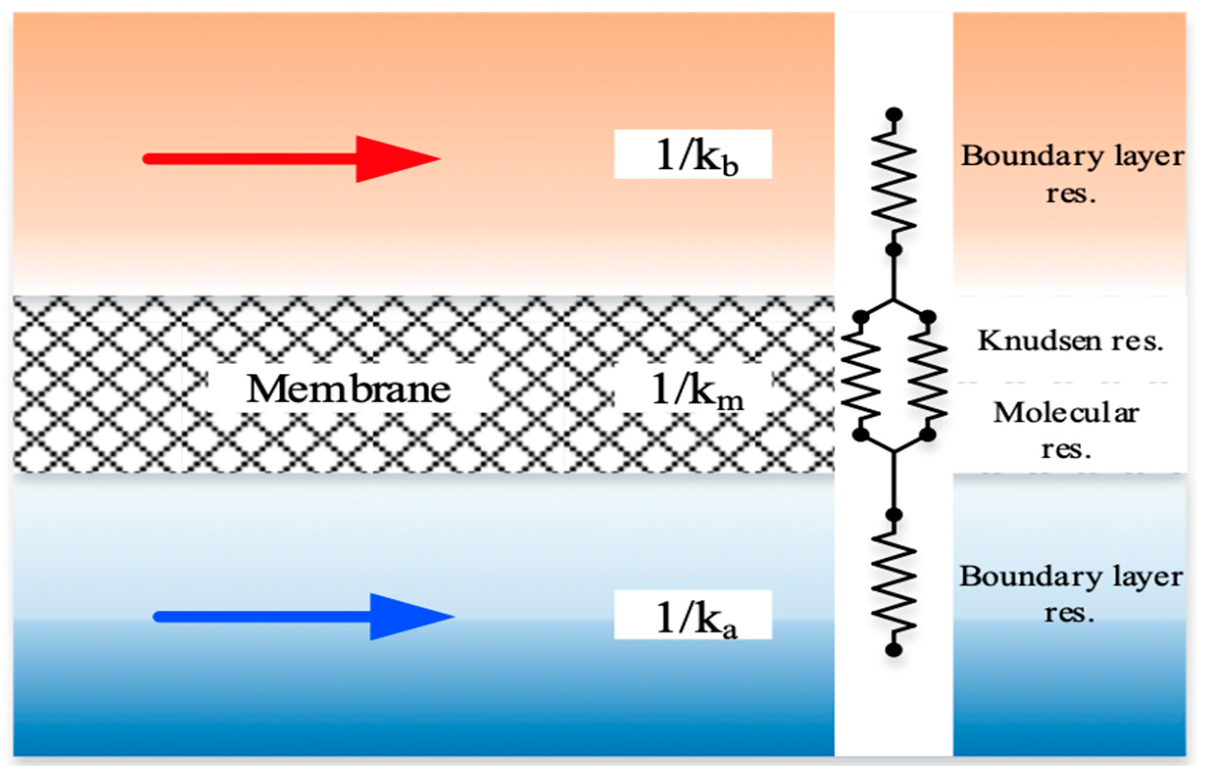 Membranes 14 00147 g003