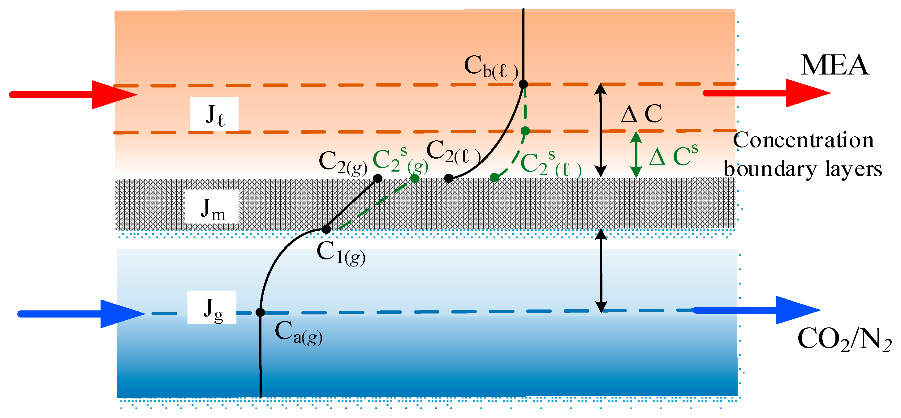 Membranes 14 00147 g004