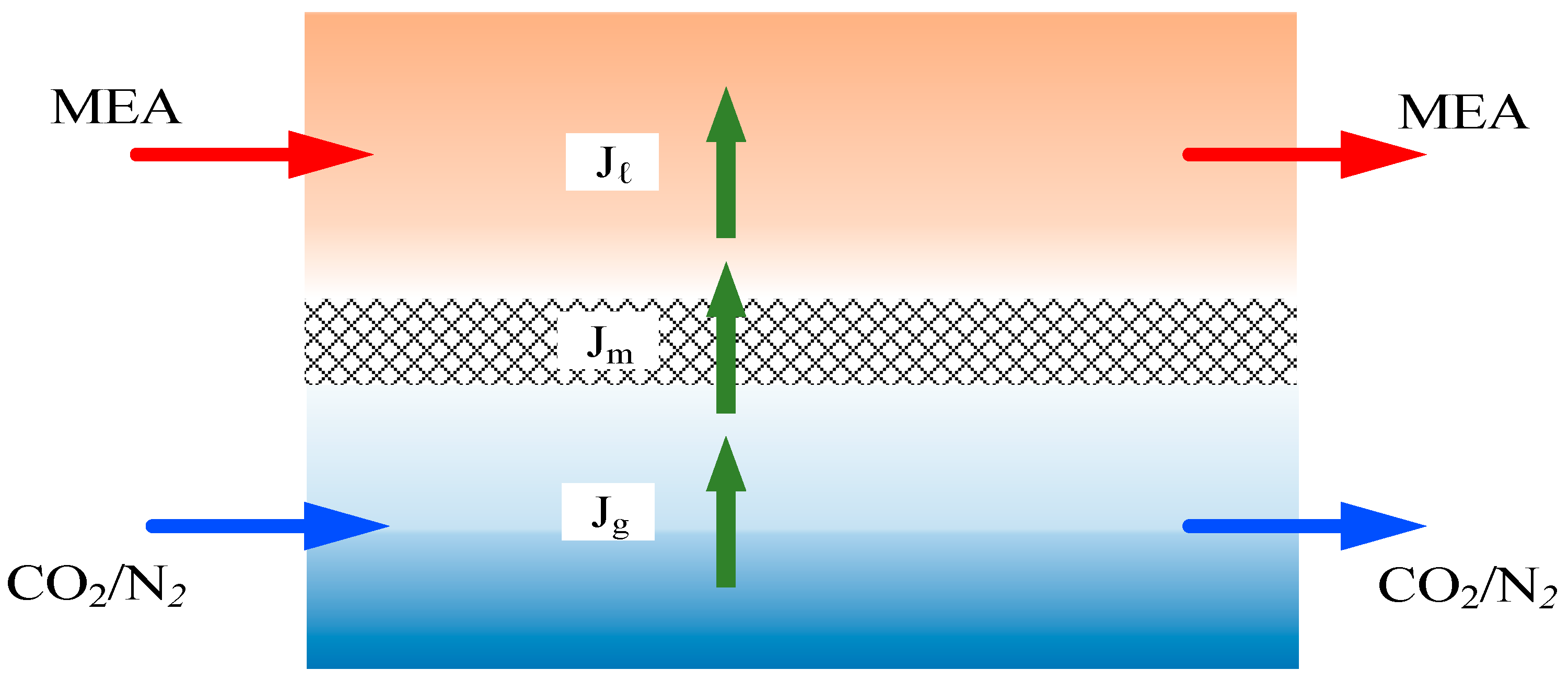 Membranes 14 00147 g006
