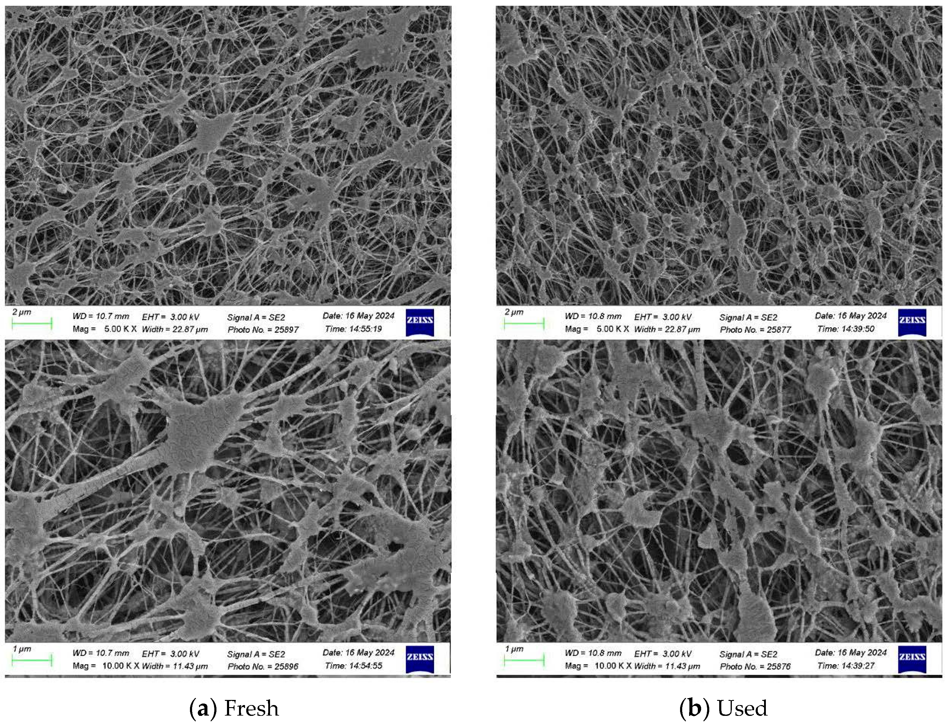 Membranes 14 00147 g009