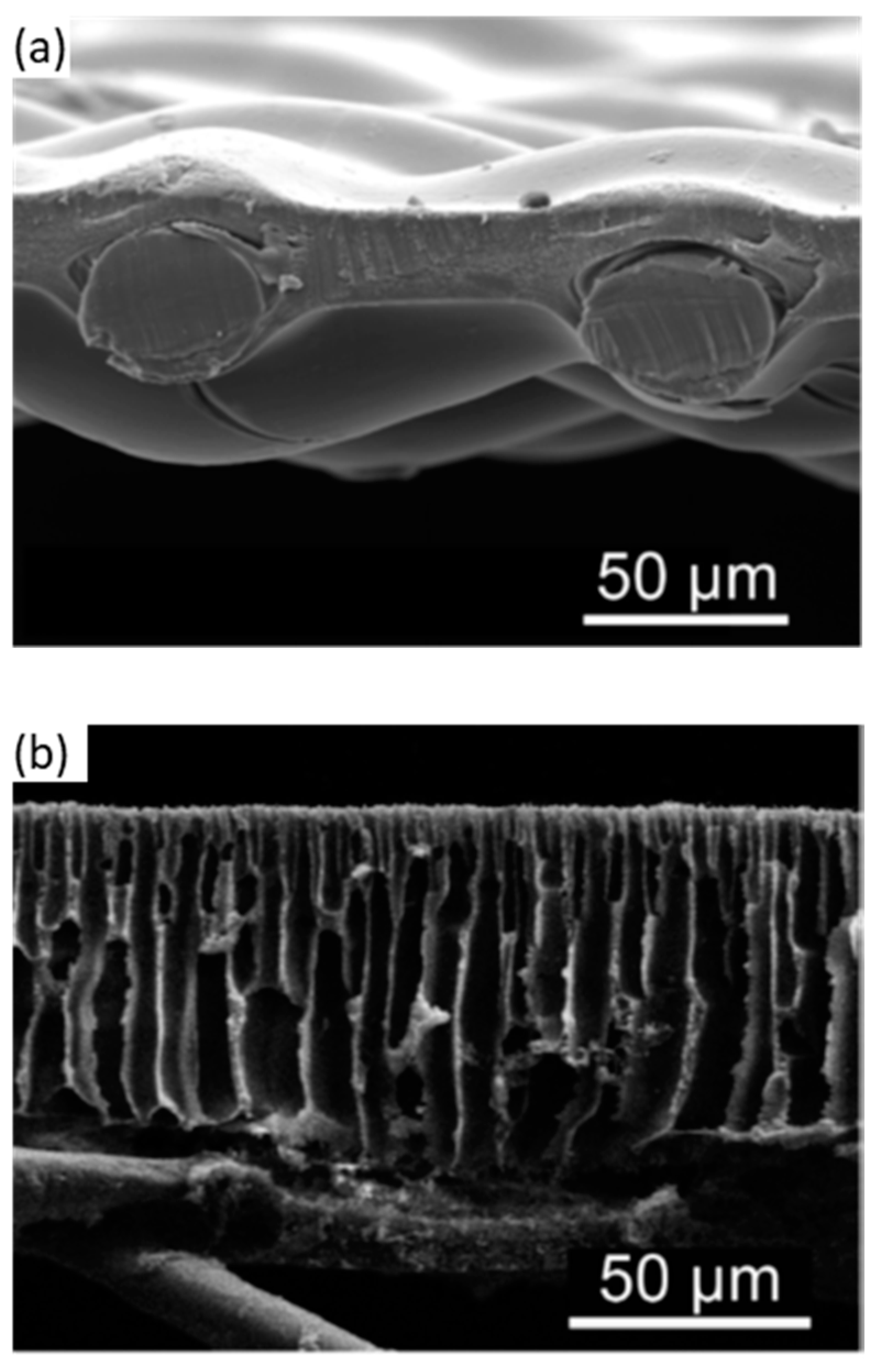 Membranes 14 00148 g007