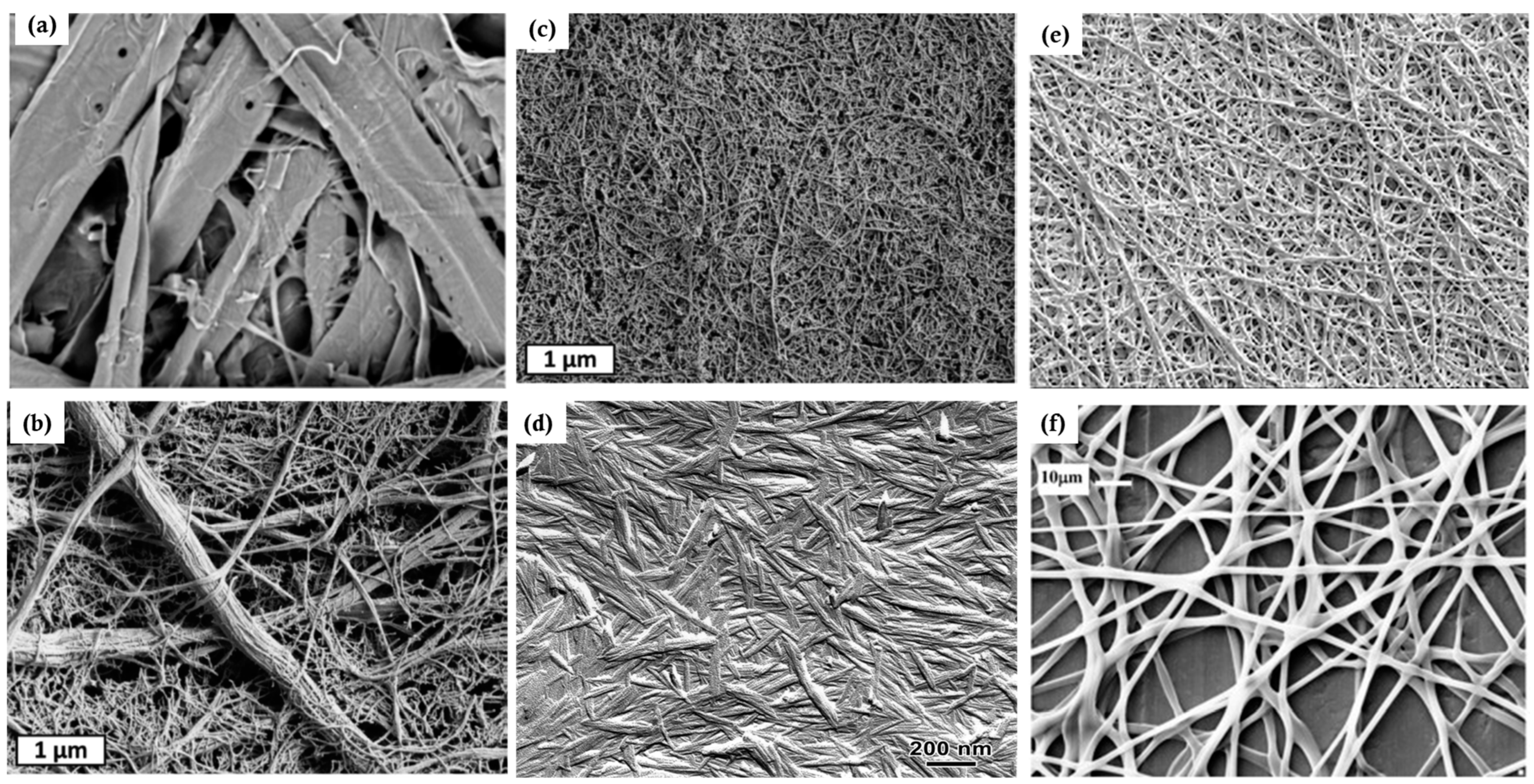 Membranes 14 00148 g011