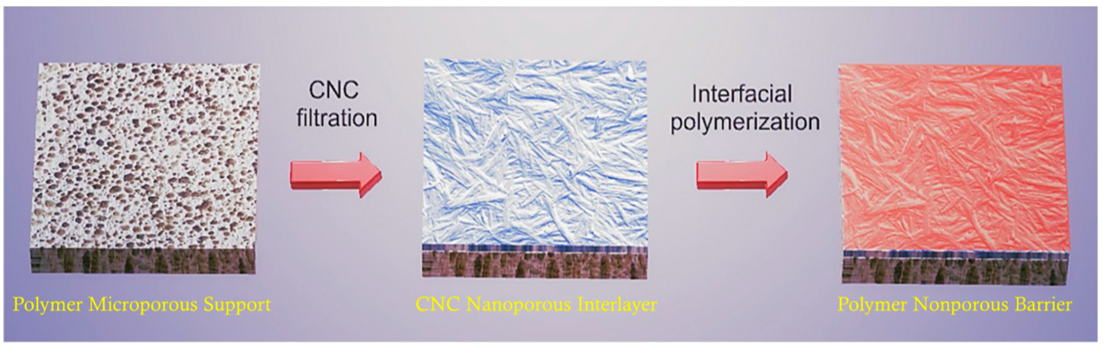 Membranes 14 00148 g013