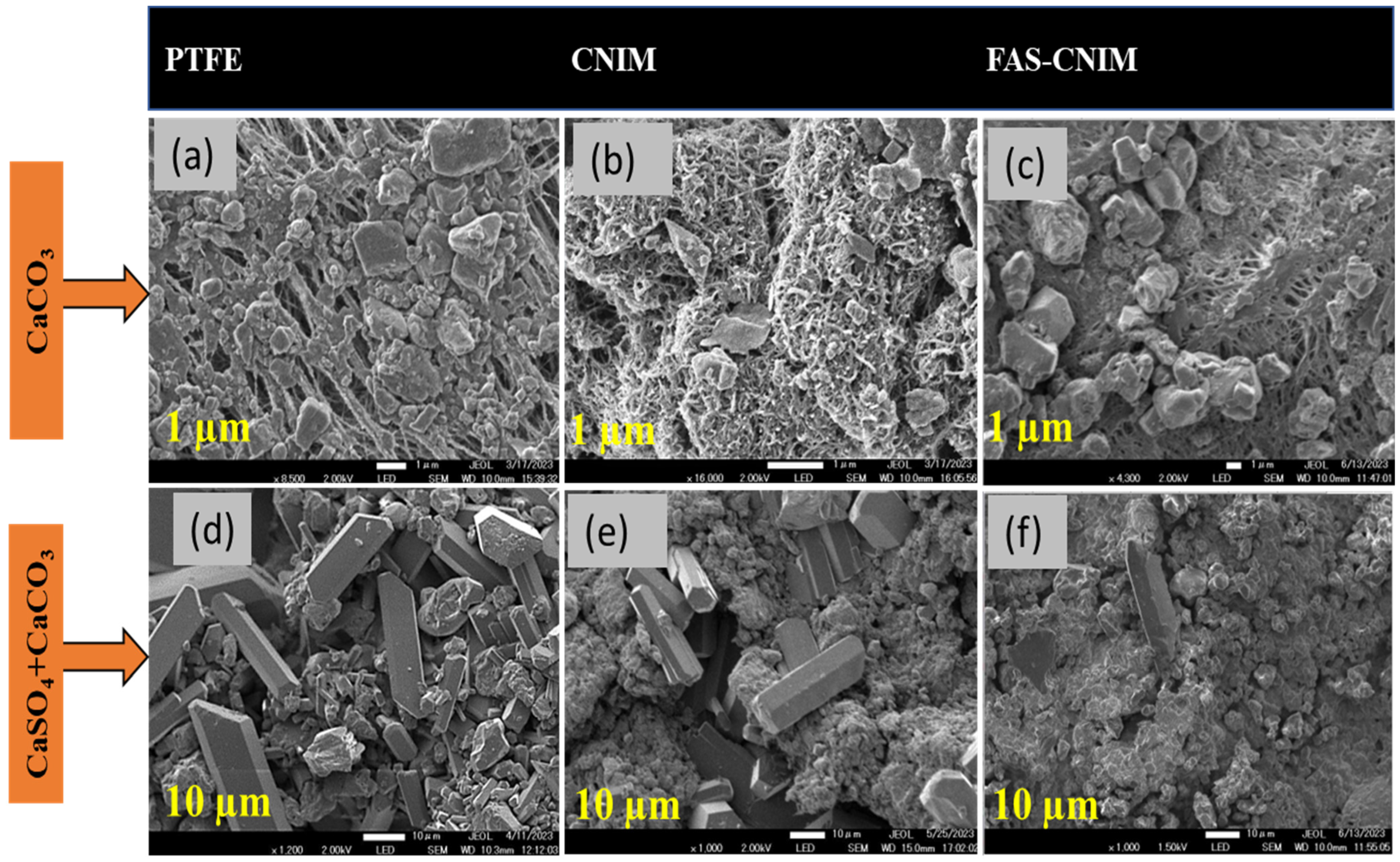 Membranes 14 00152 g008