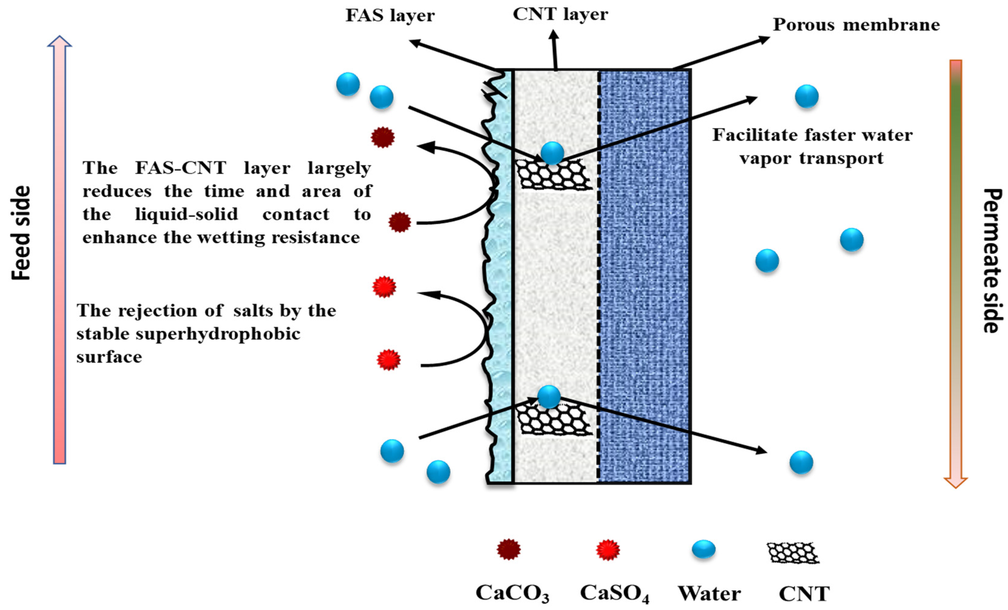Membranes 14 00152 g009