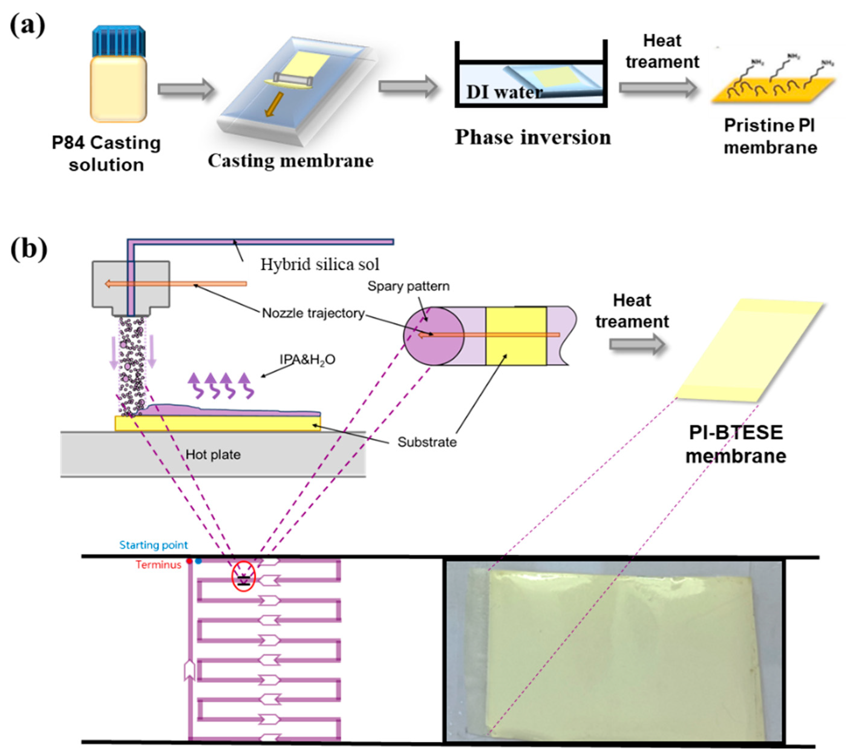 Membranes 14 00154 g001