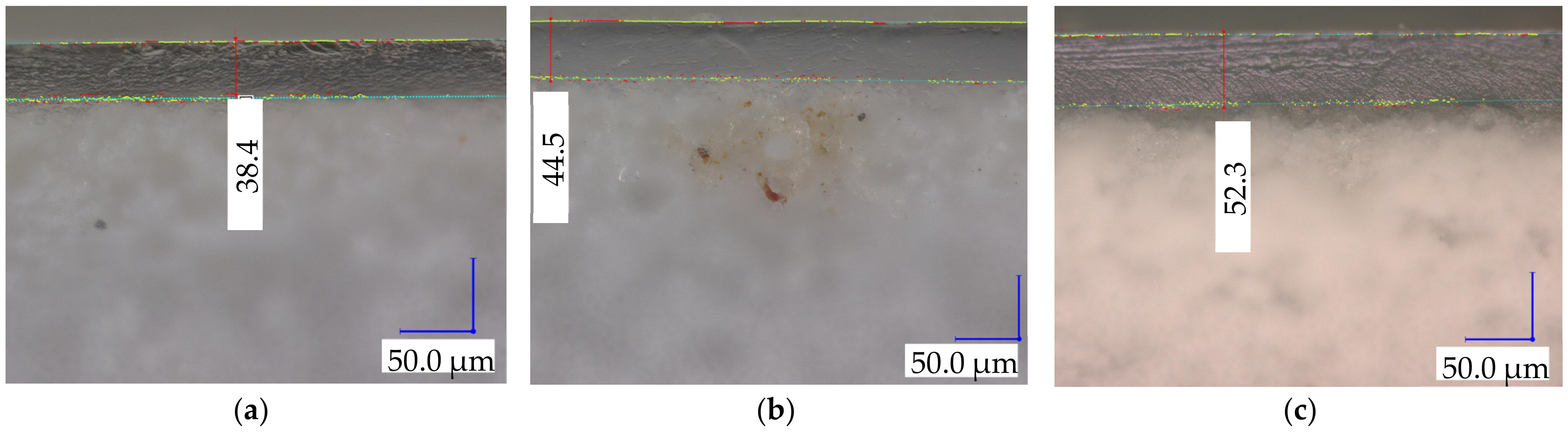 Membranes 14 00155 g003 Membranes 14 00155 g003