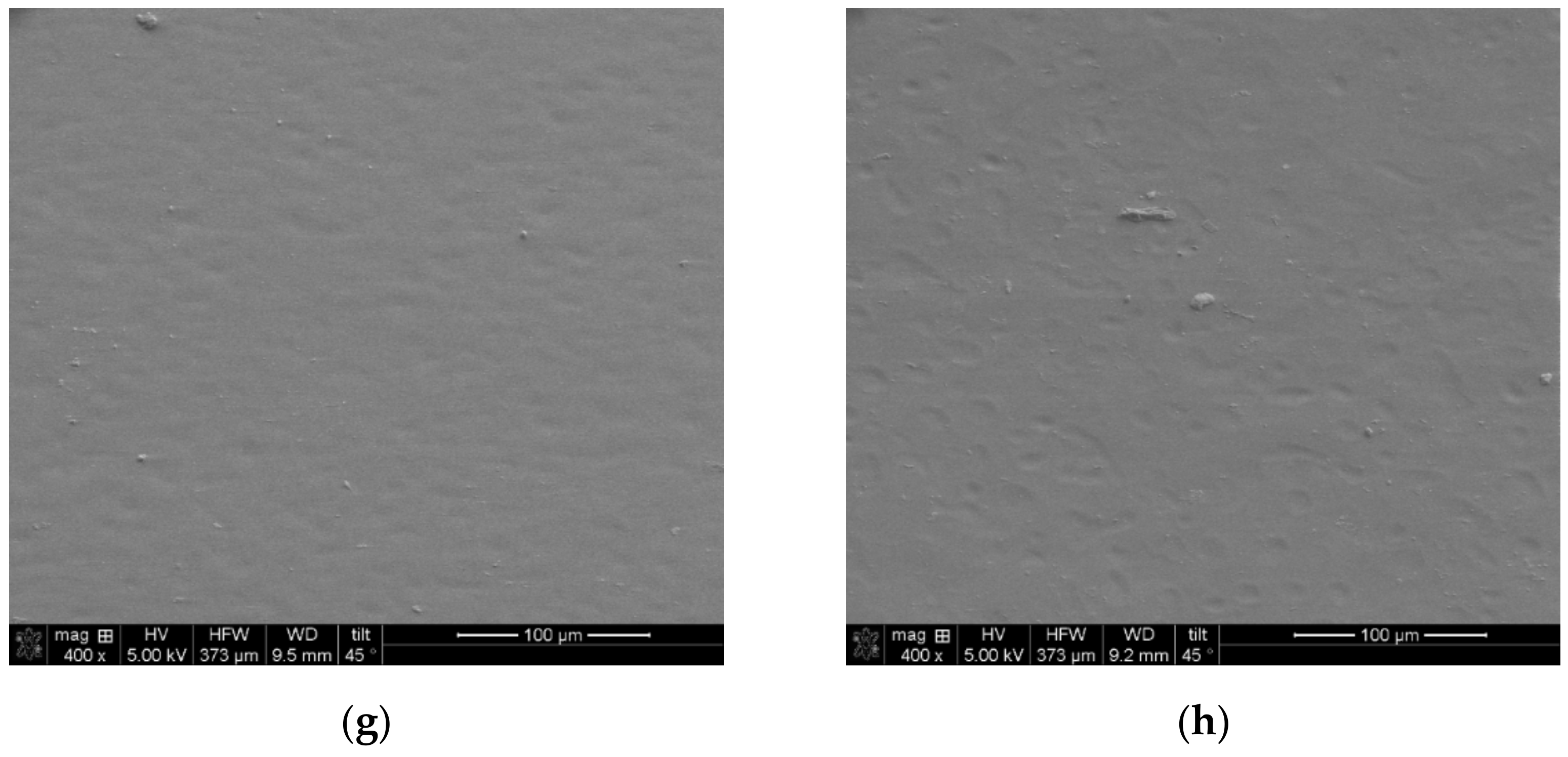 Membranes 14 00155 g009b Membranes 14 00155 g009b