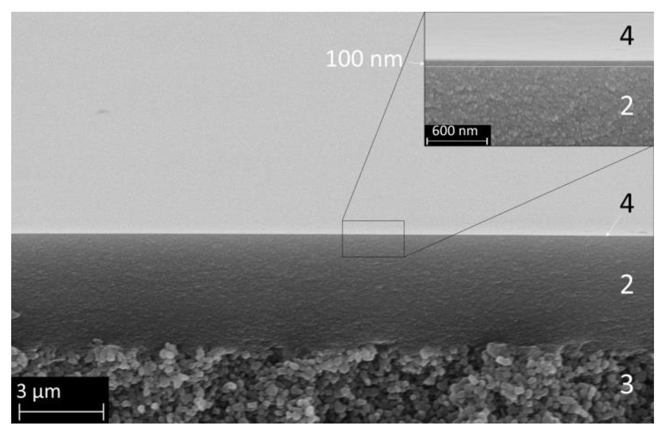 Membranes 14 00156 g005