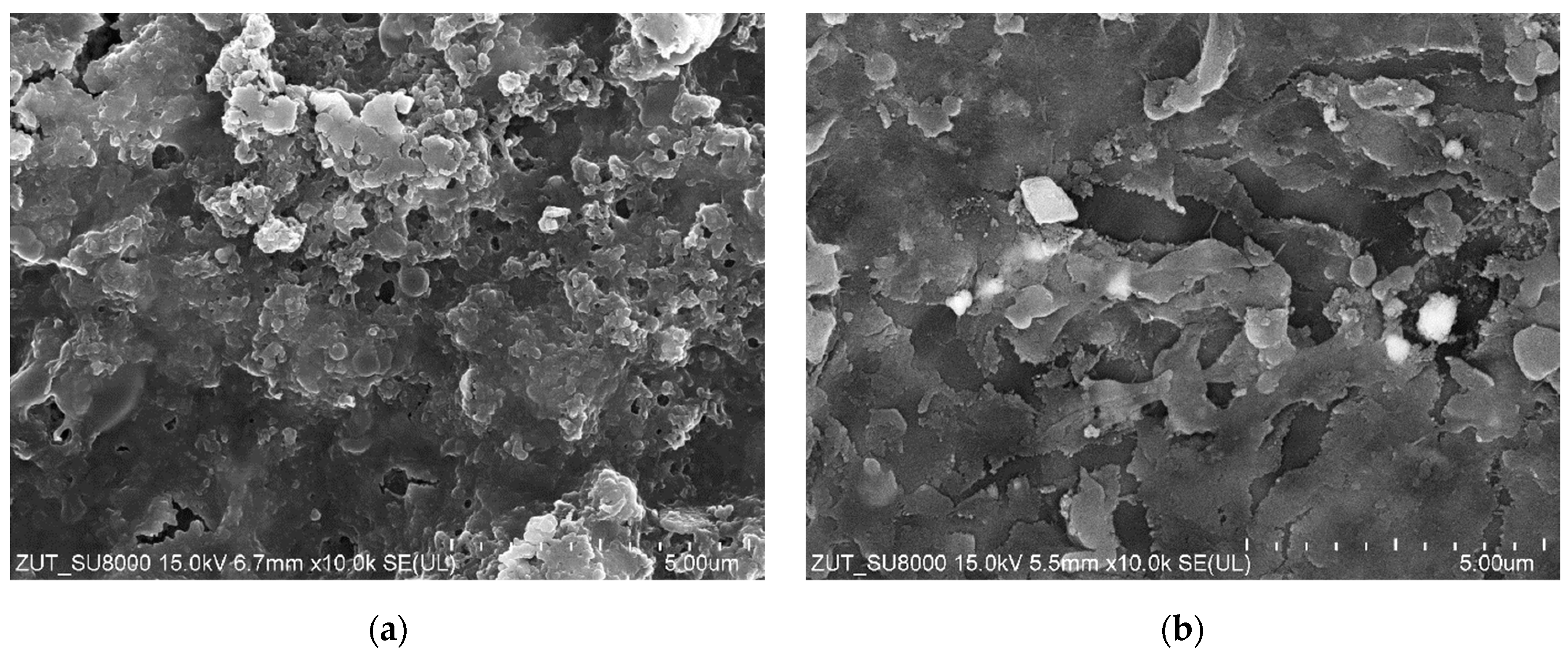 Membranes 14 00159 g003