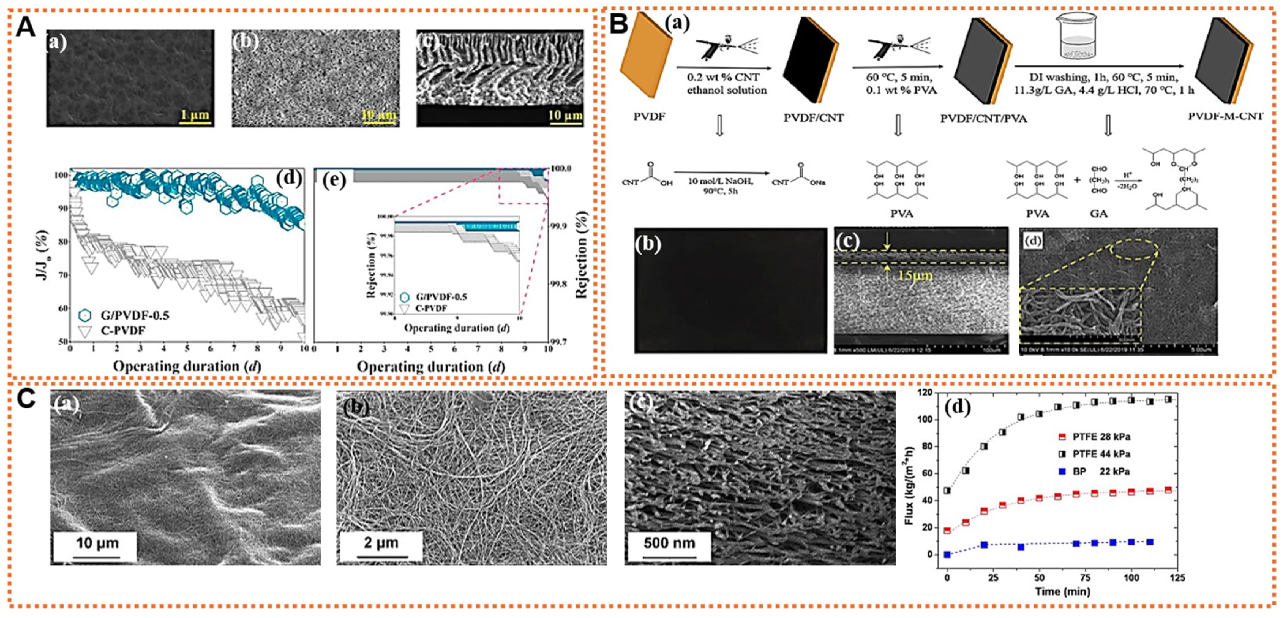 Membranes 14 00160 g003