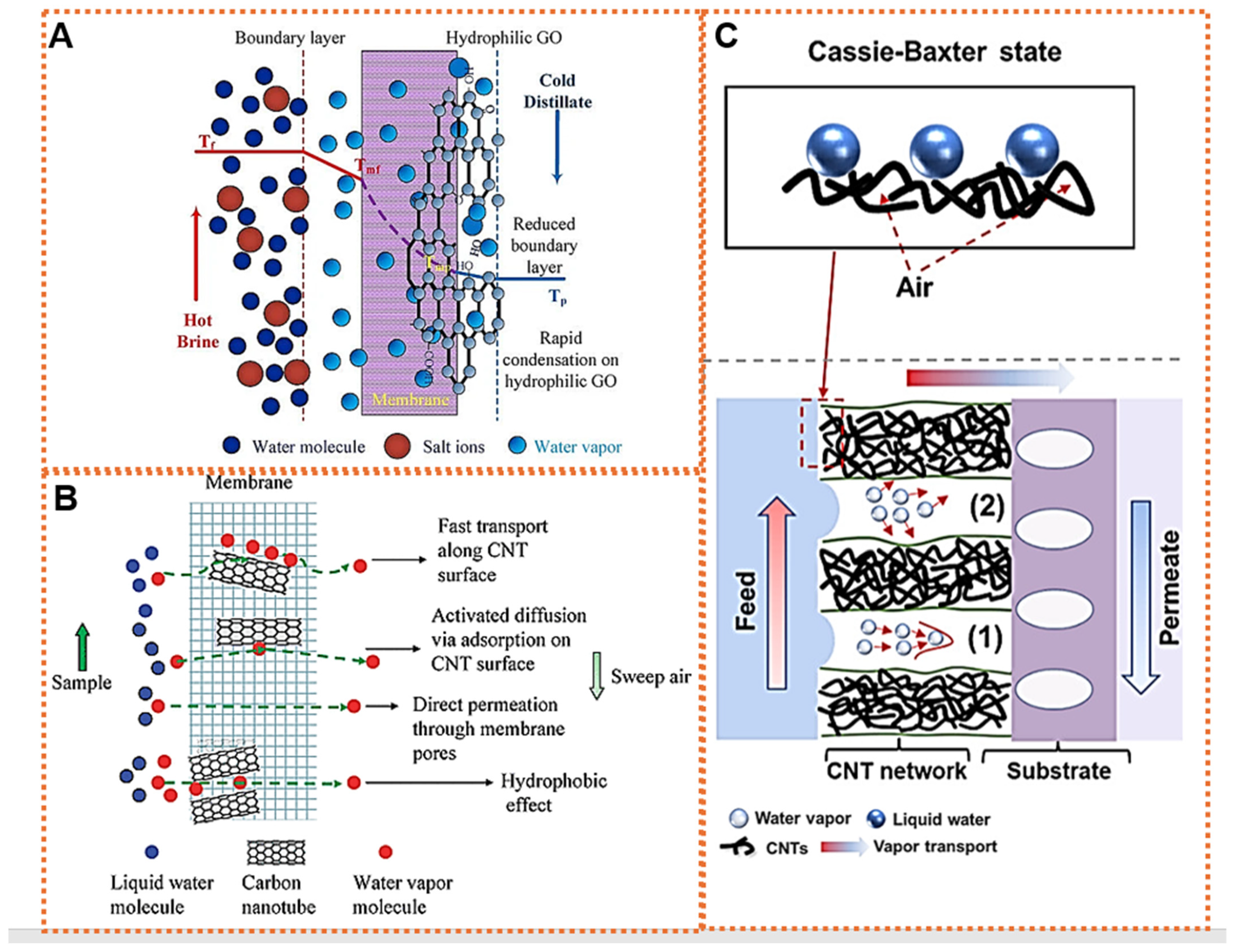 Membranes 14 00160 g005