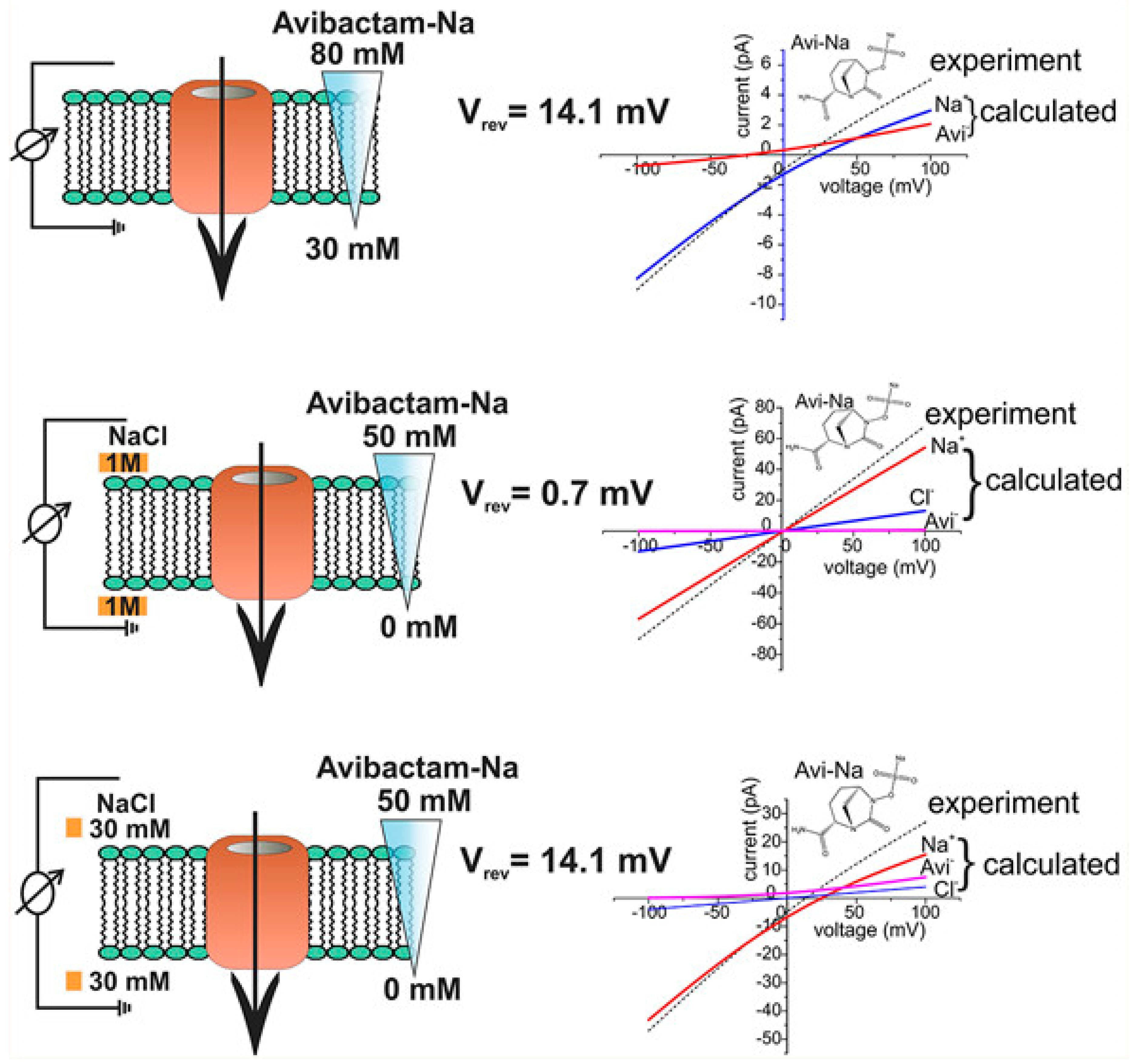 Membranes 14 00161 g001