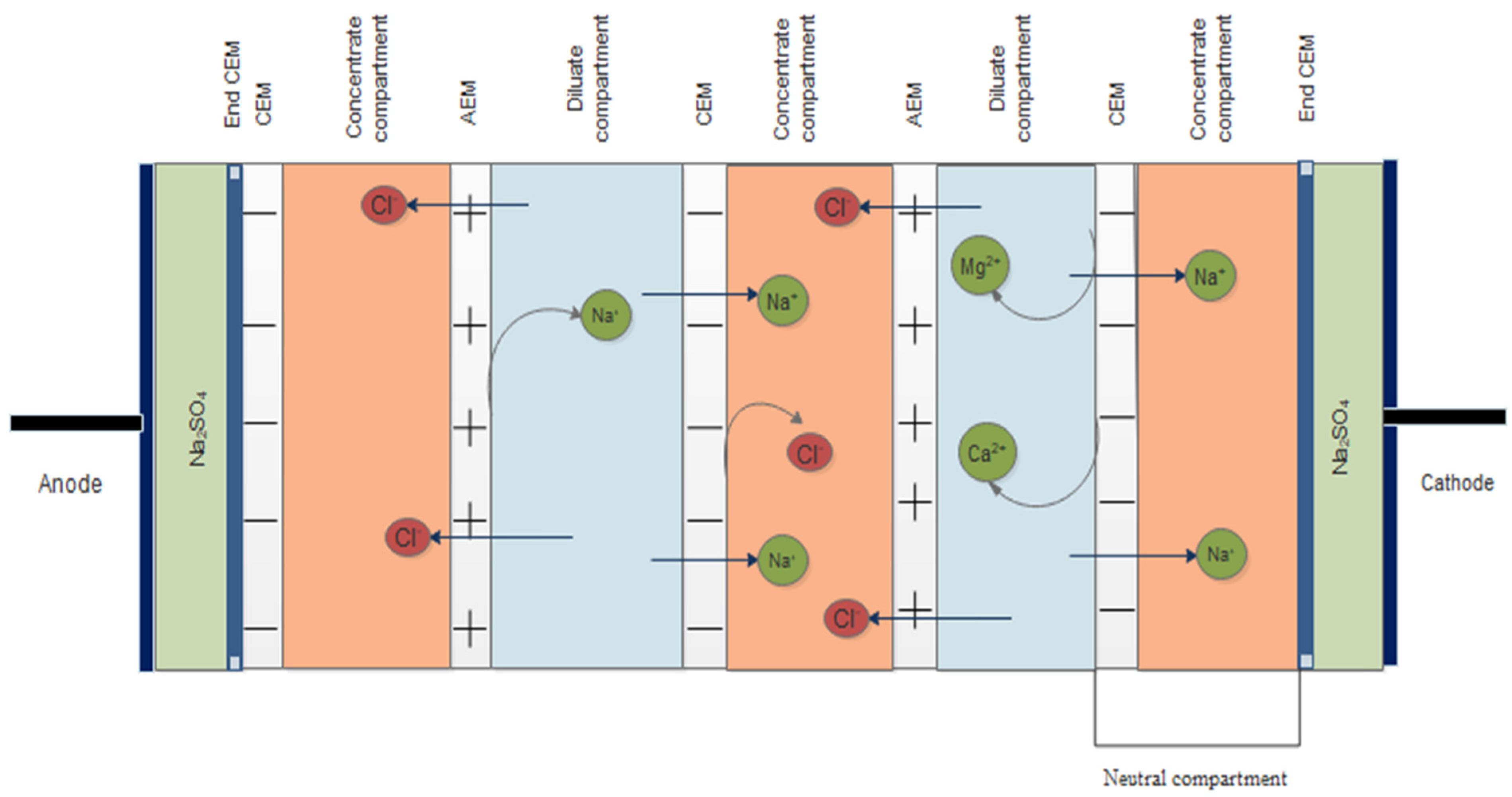 Membranes 14 00163 g002