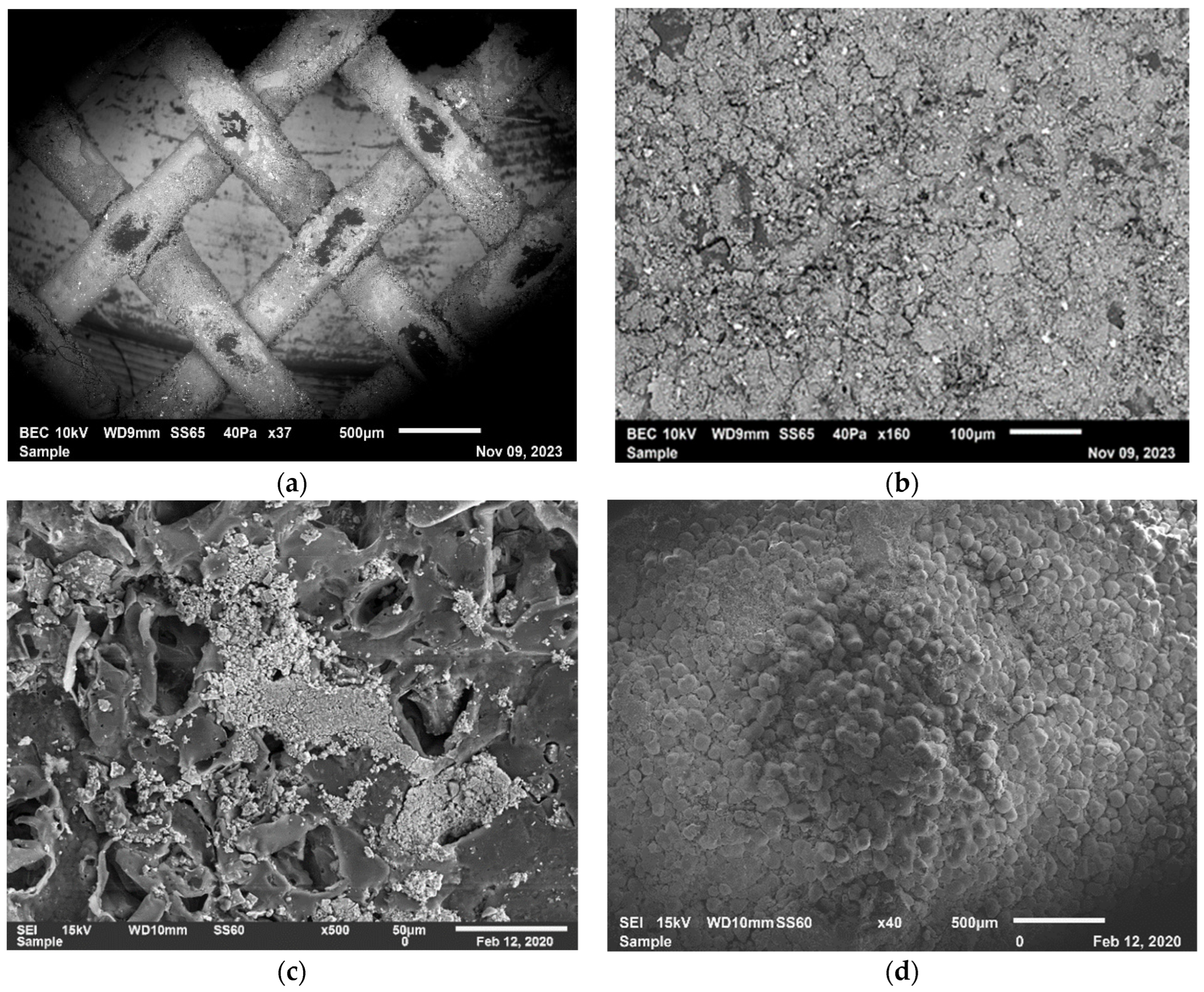 Membranes 14 00163 g011