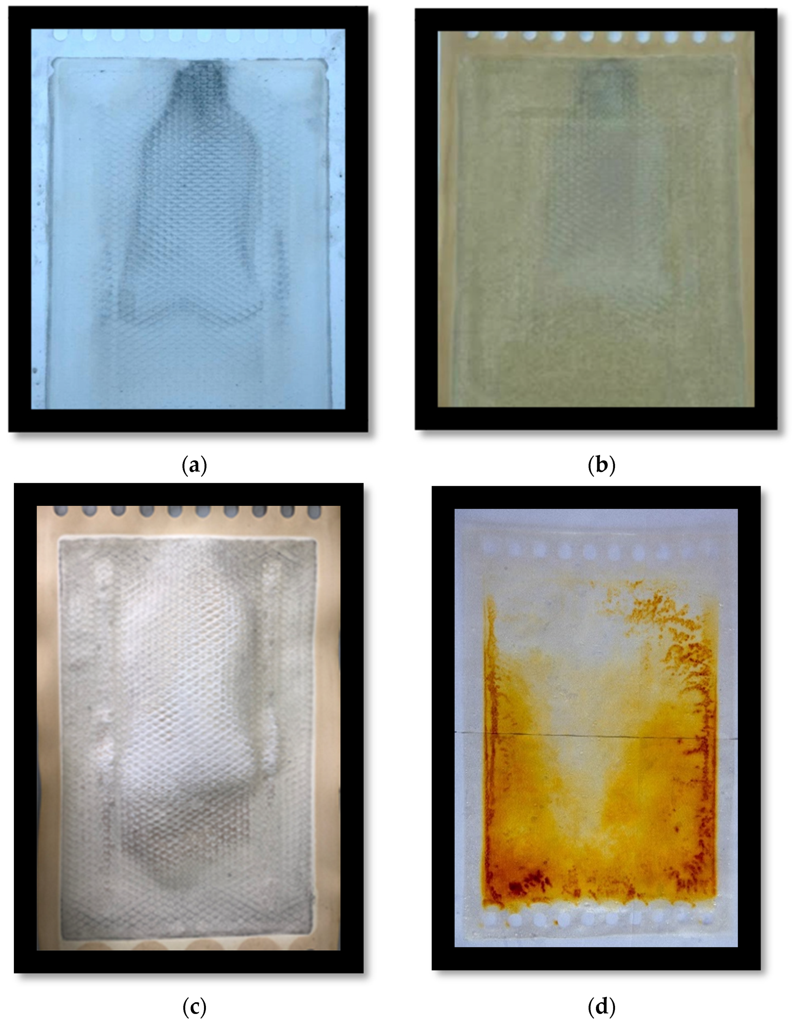 Membranes 14 00163 g012