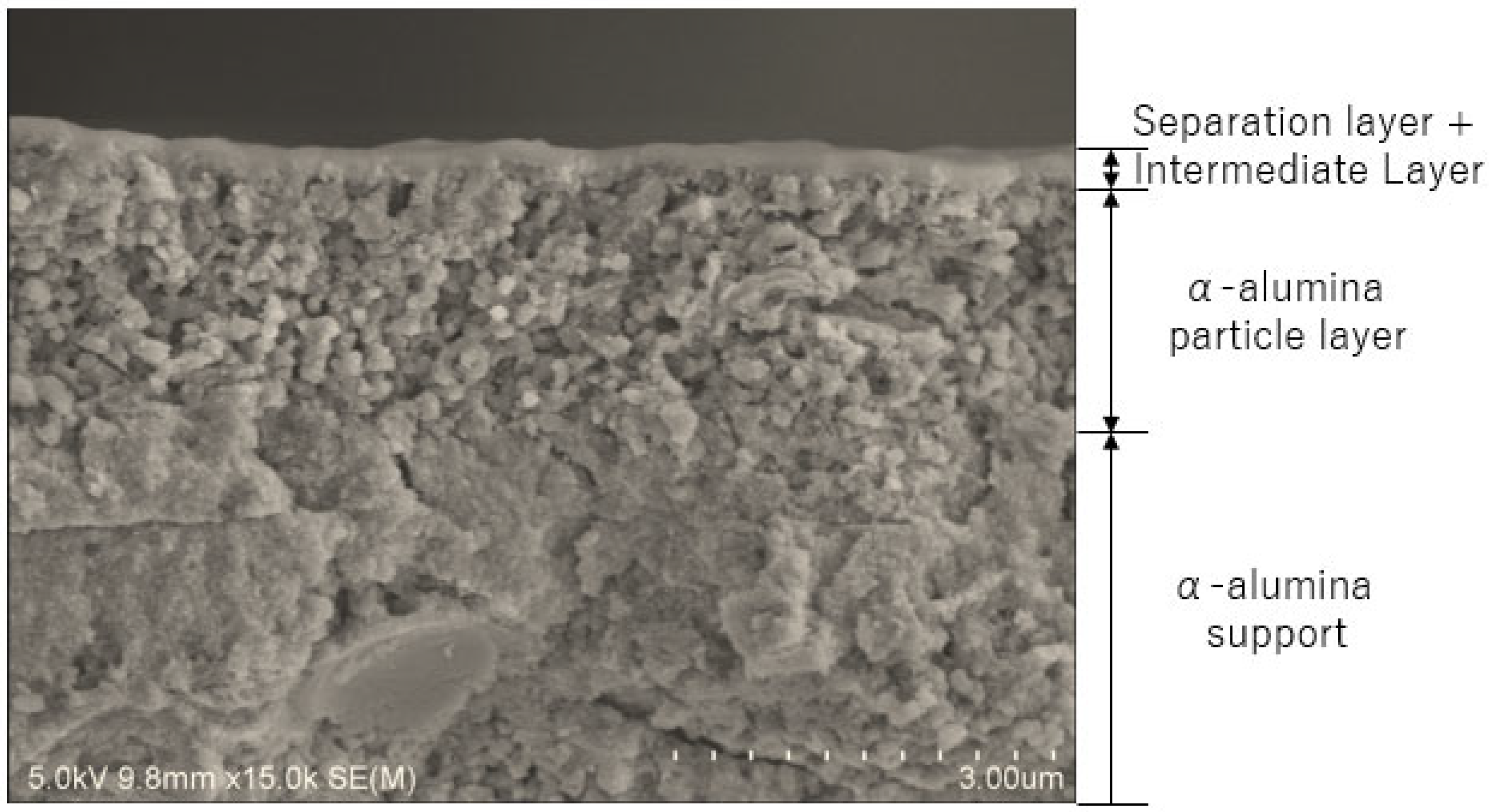 Membranes 14 00165 g002