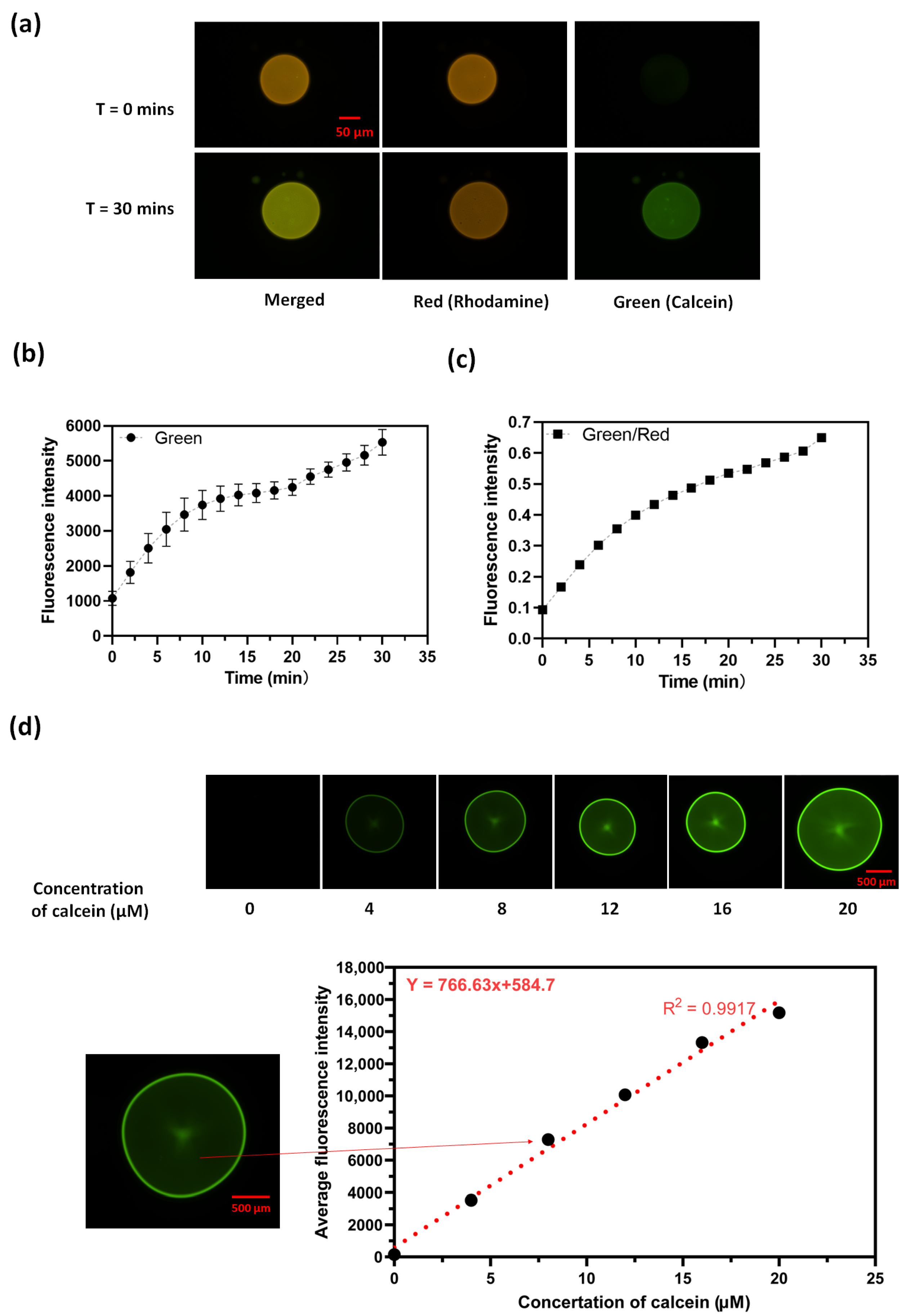 Membranes 14 00168 g002