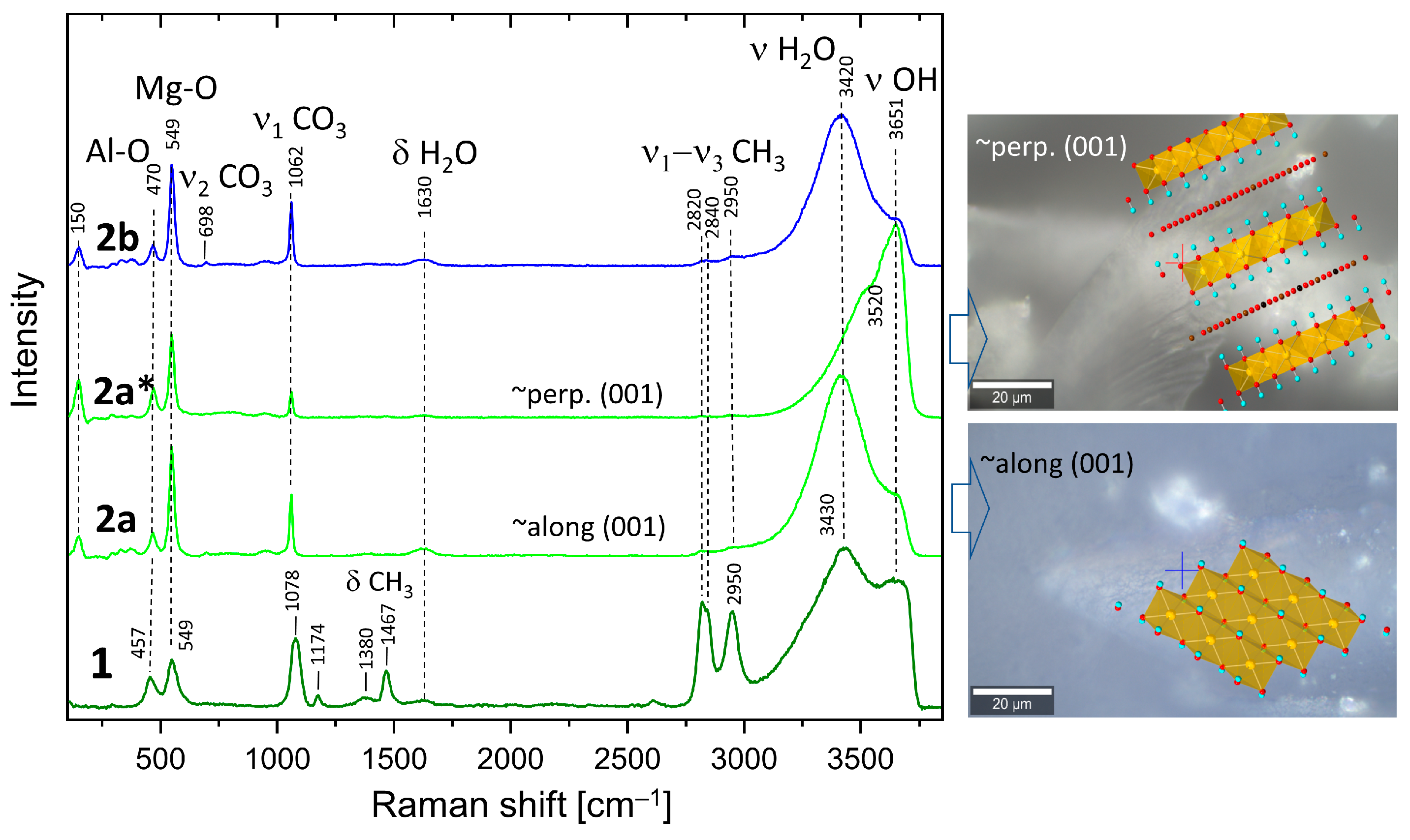 Membranes 14 00170 g003
