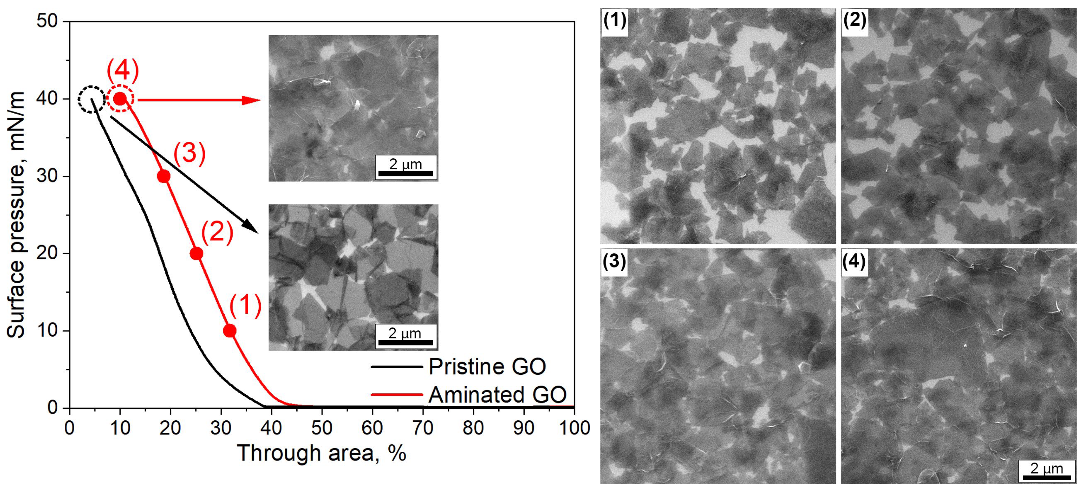 Membranes 14 00172 g002