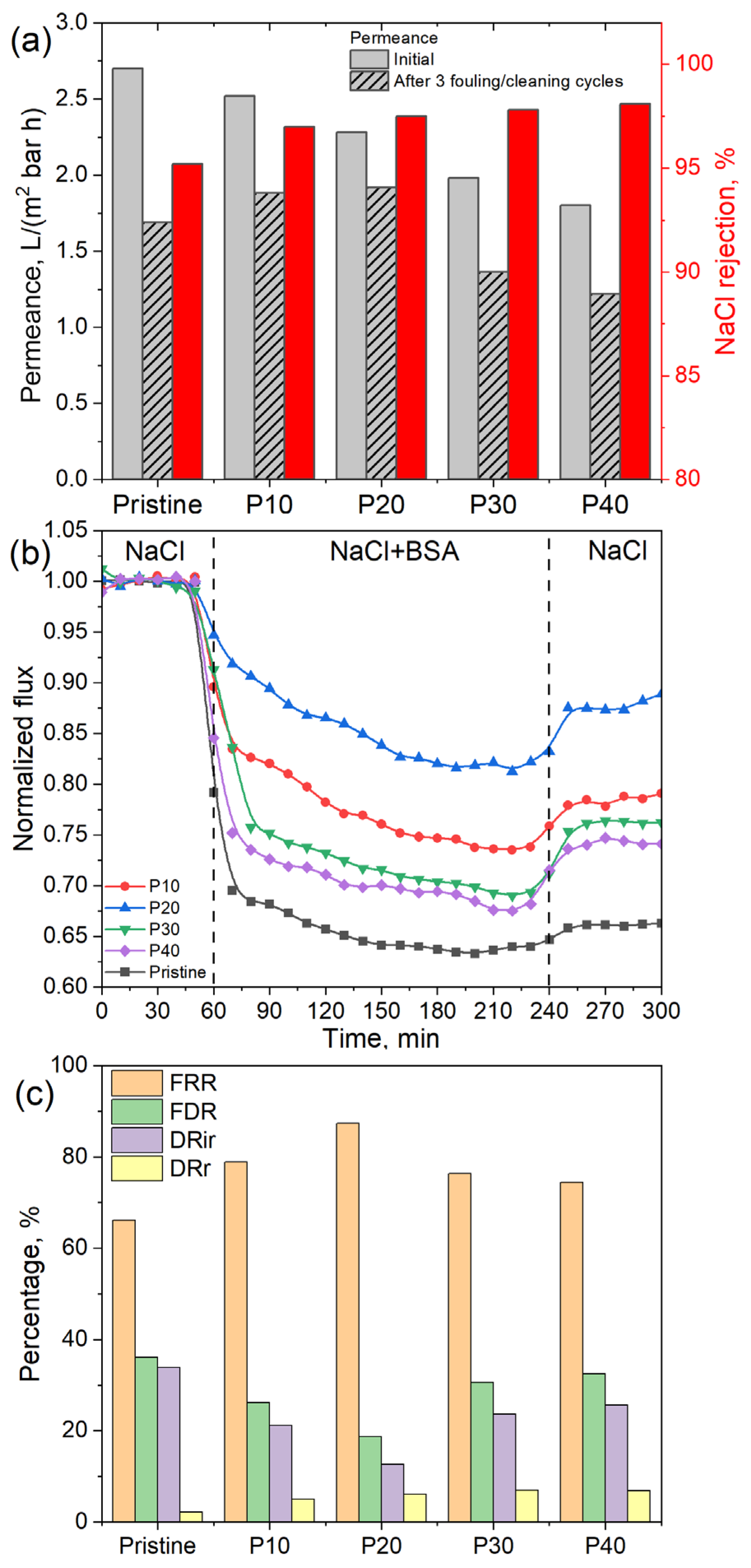Membranes 14 00172 g005