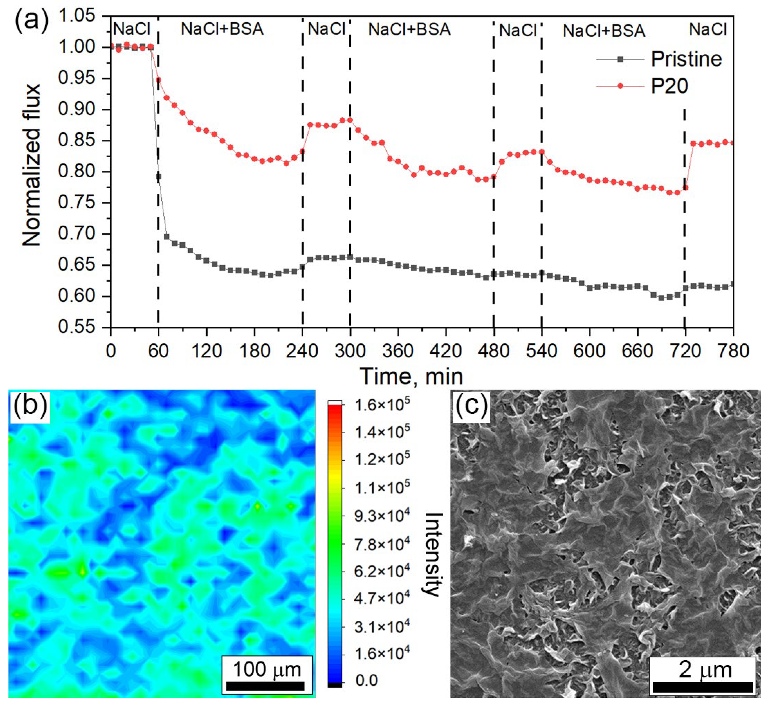 Membranes 14 00172 g006