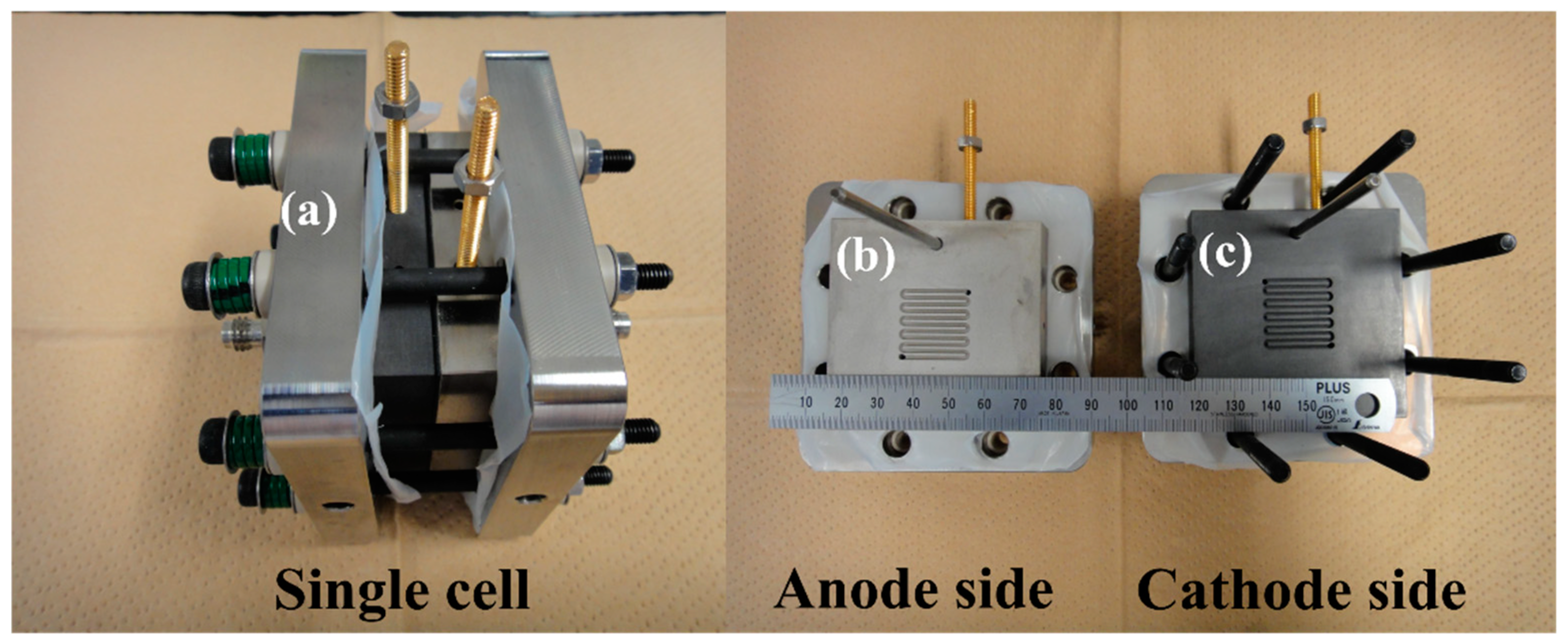 Membranes 14 00173 g001