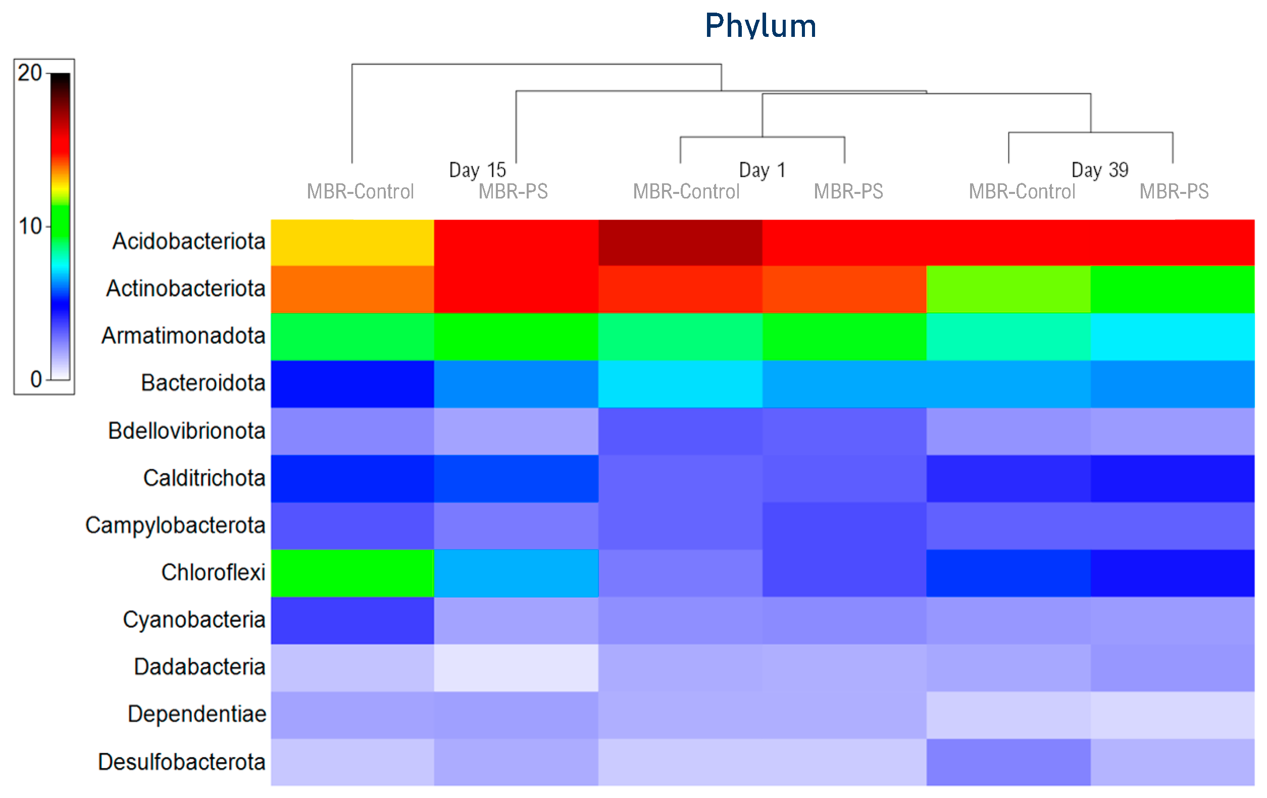 Membranes 14 00174 g003