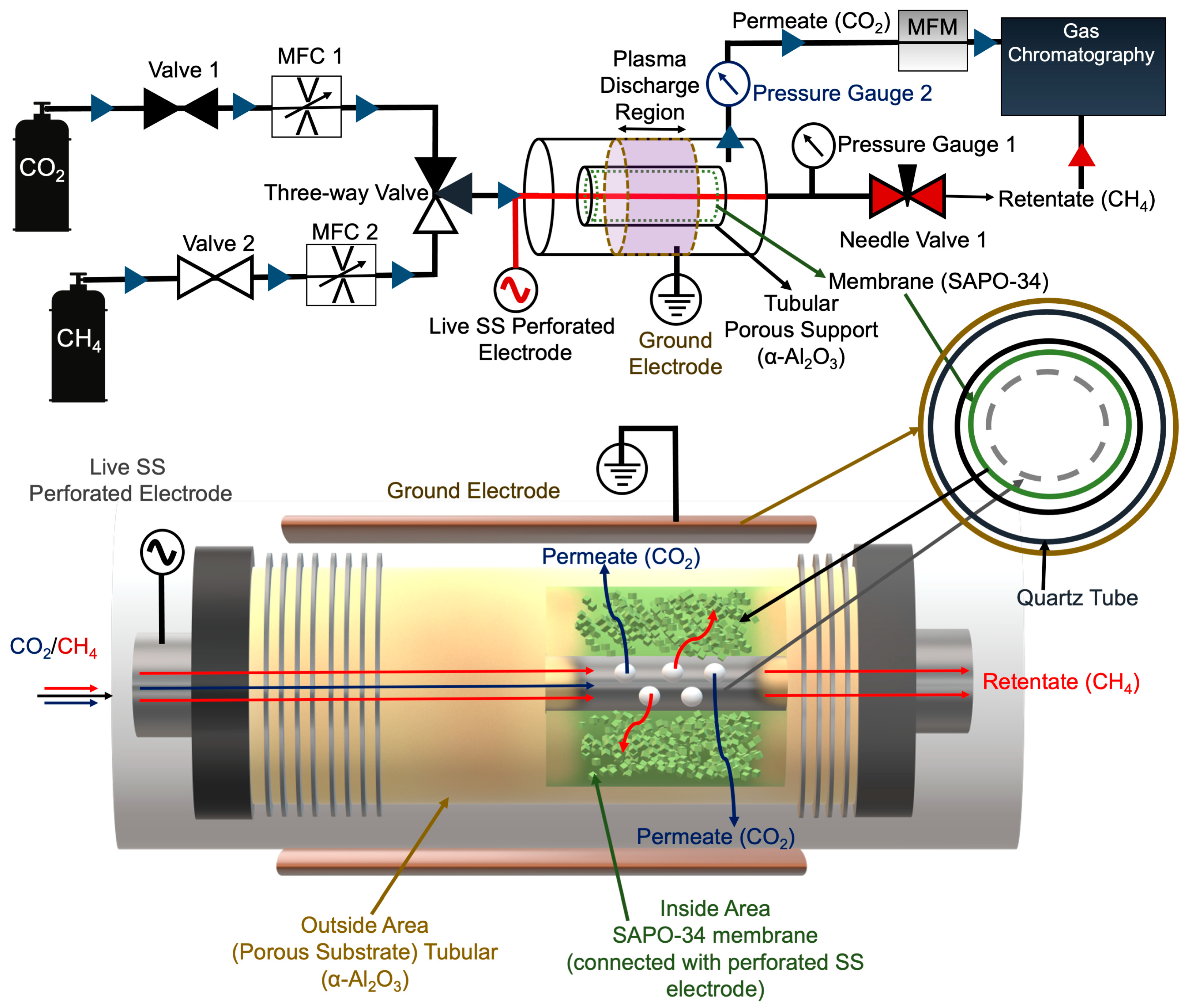 Membranes 14 00178 g001