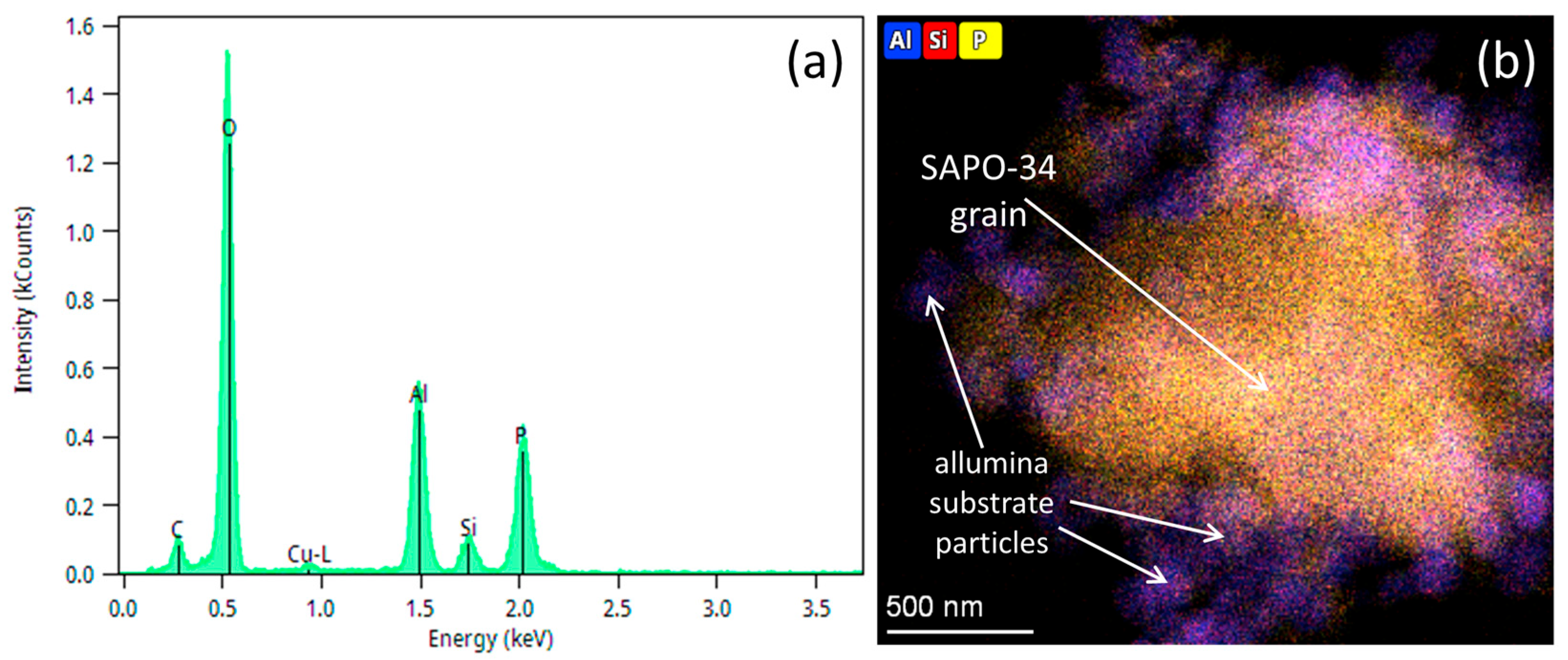 Membranes 14 00178 g005