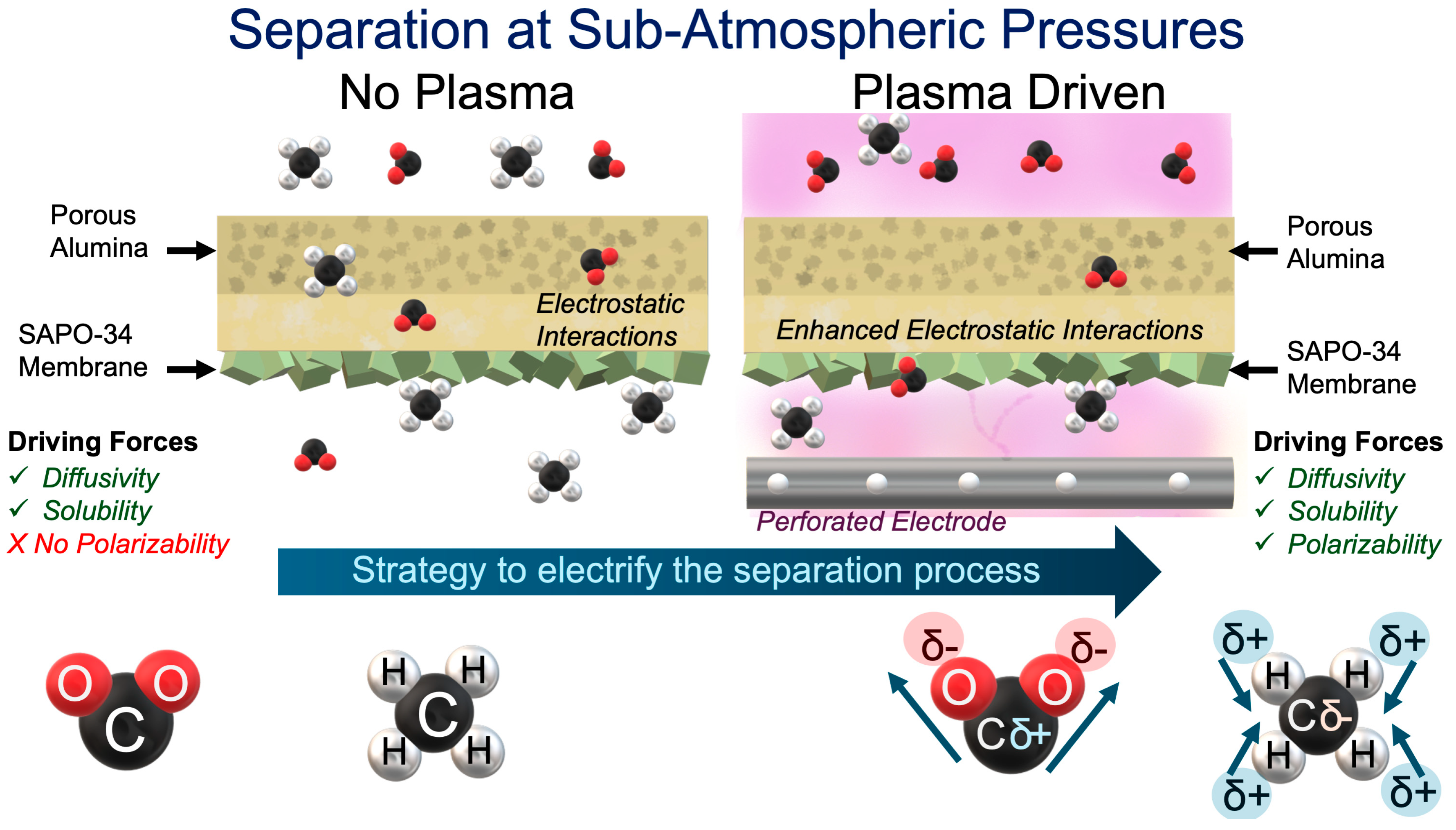 Membranes 14 00178 g008